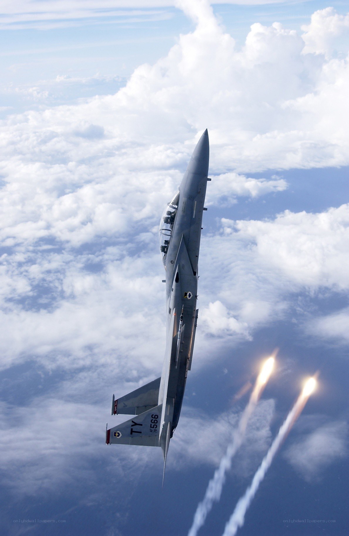 F-15 Eagle in flight
