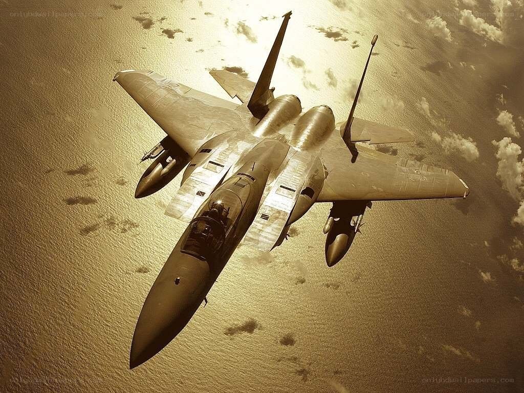 F-15 Eagle in flight