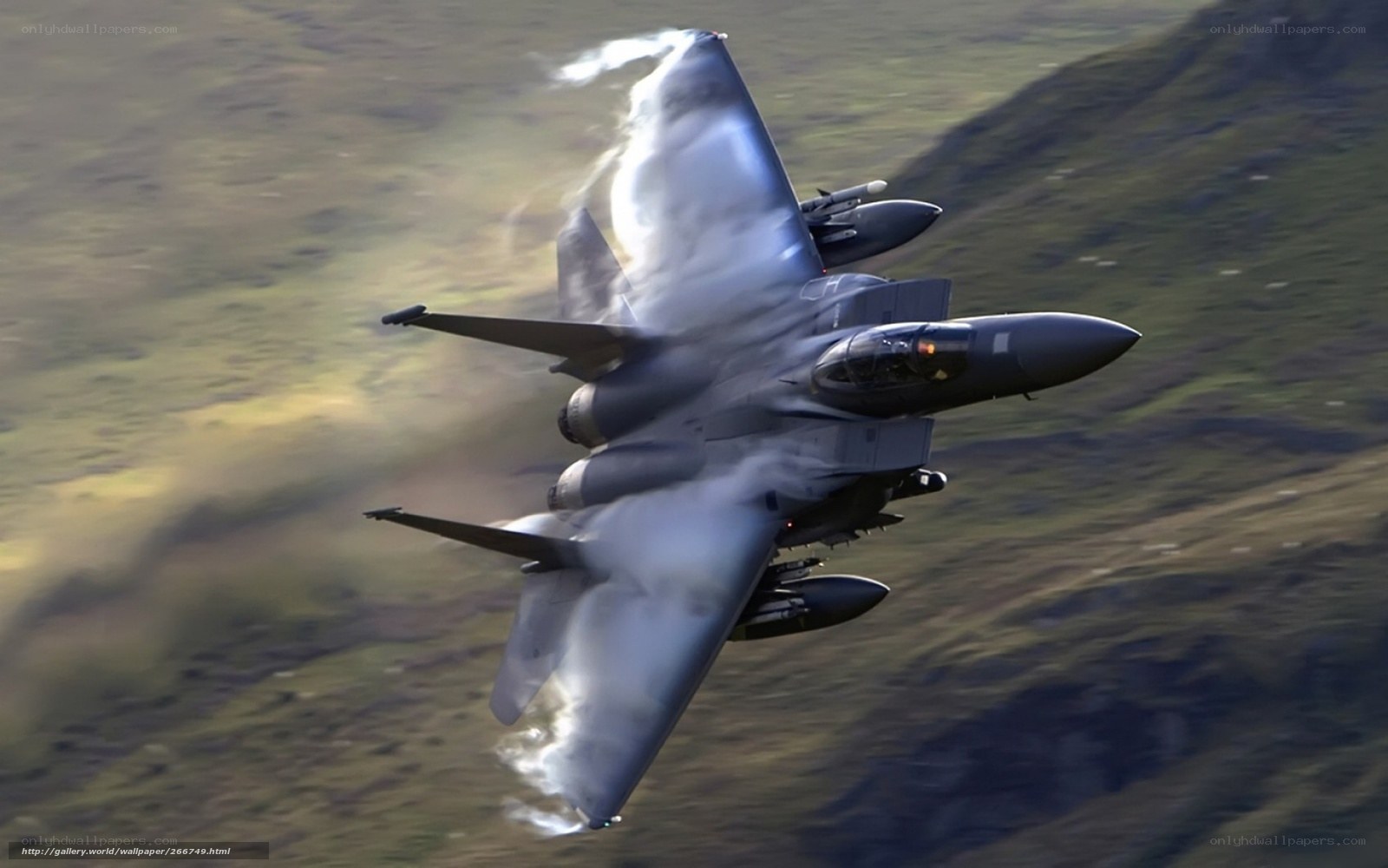 F-15 Eagle in flight