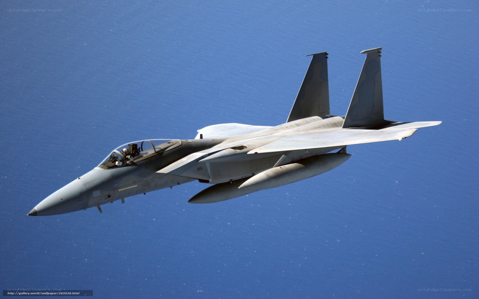 F-15 Eagle in flight
