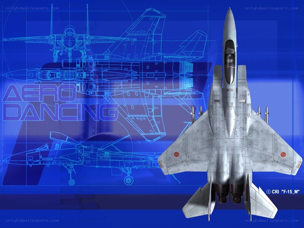 F-15 fighter jet artwork