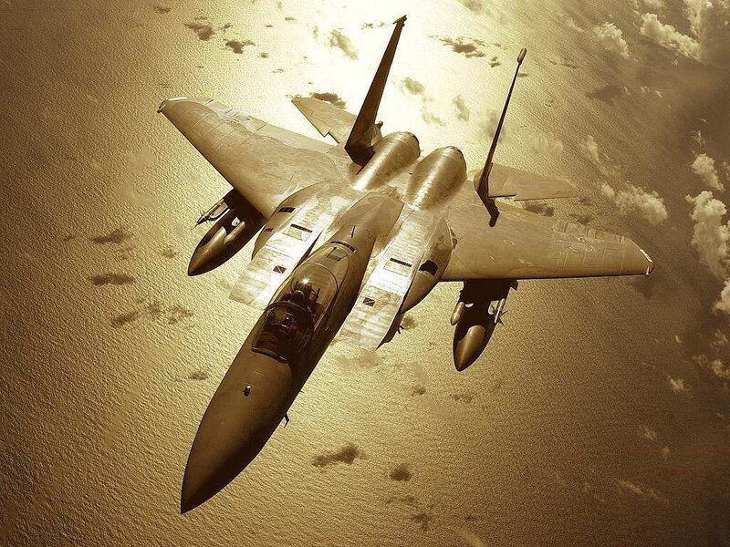 F-15 Fighter Jet — Brown