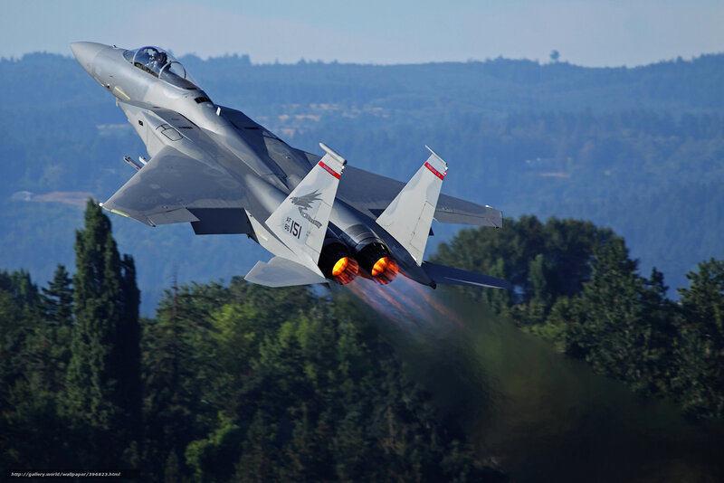 F-15 Fighter Jet — Gray, Dramatic, Afternoon, Photograph, Forest