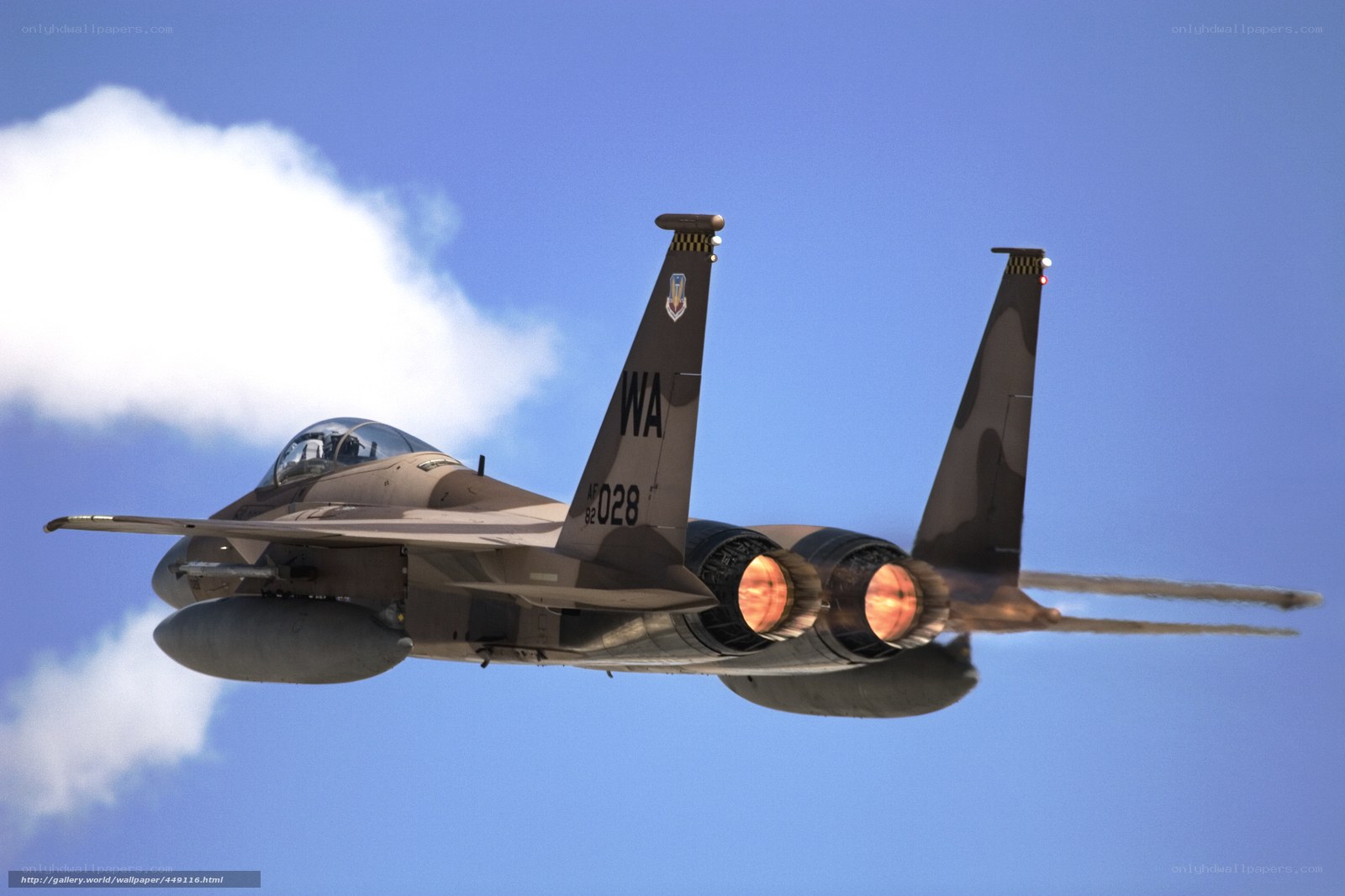 F-15 fighter jet in flight