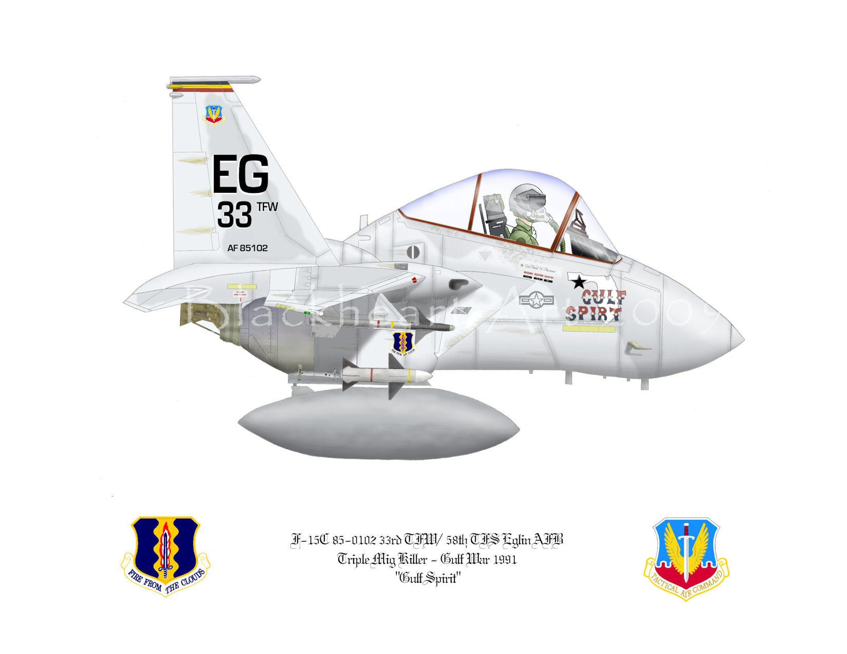 F-15C Gulf War aircraft
