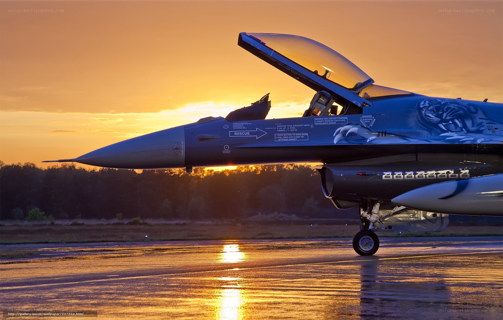 F-16 fighter jet at sunset