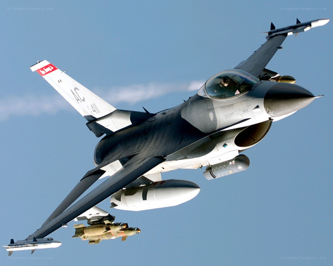 F-16 Fighting Falcon in flight