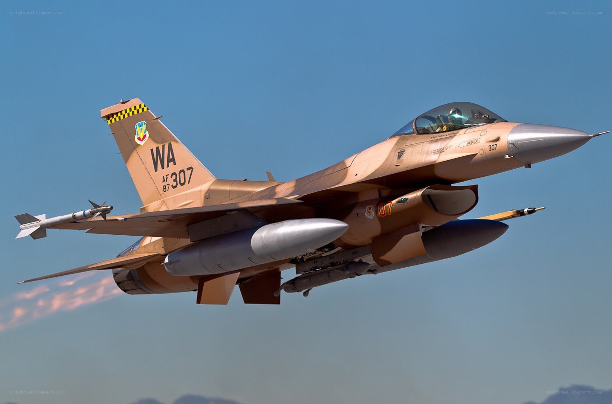 F-16 Fighting Falcon in flight