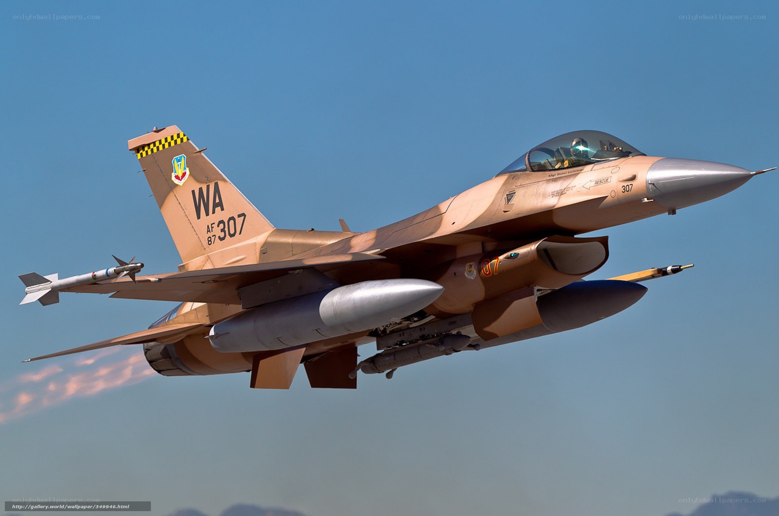 F-16 Fighting Falcon in flight