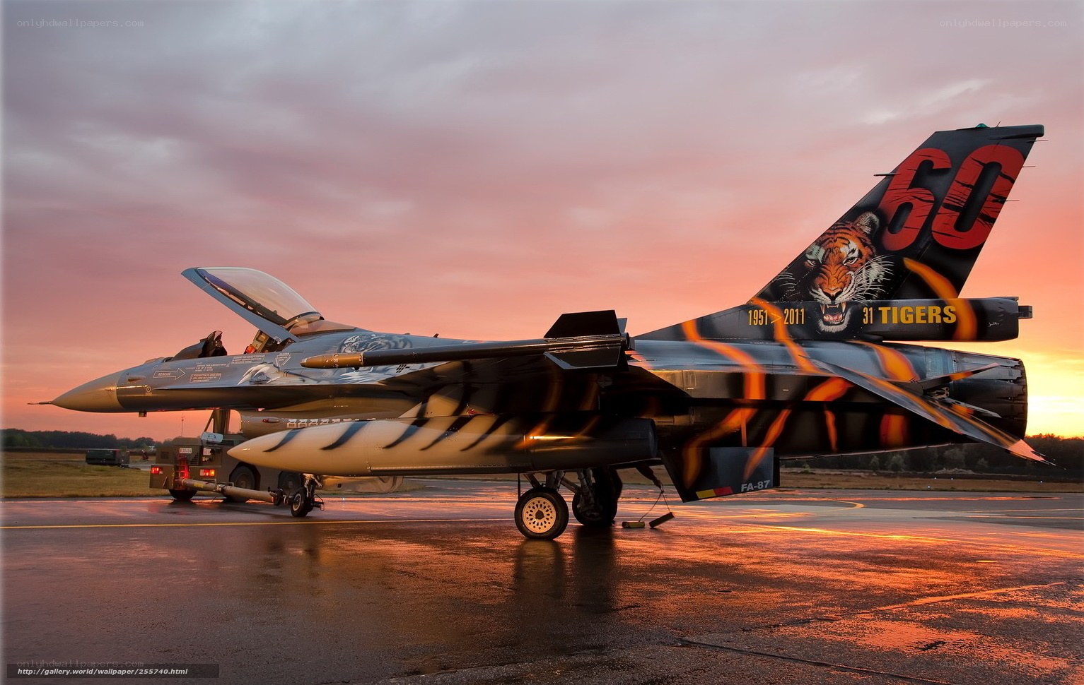 F-16 Tiger Jet at Sunset