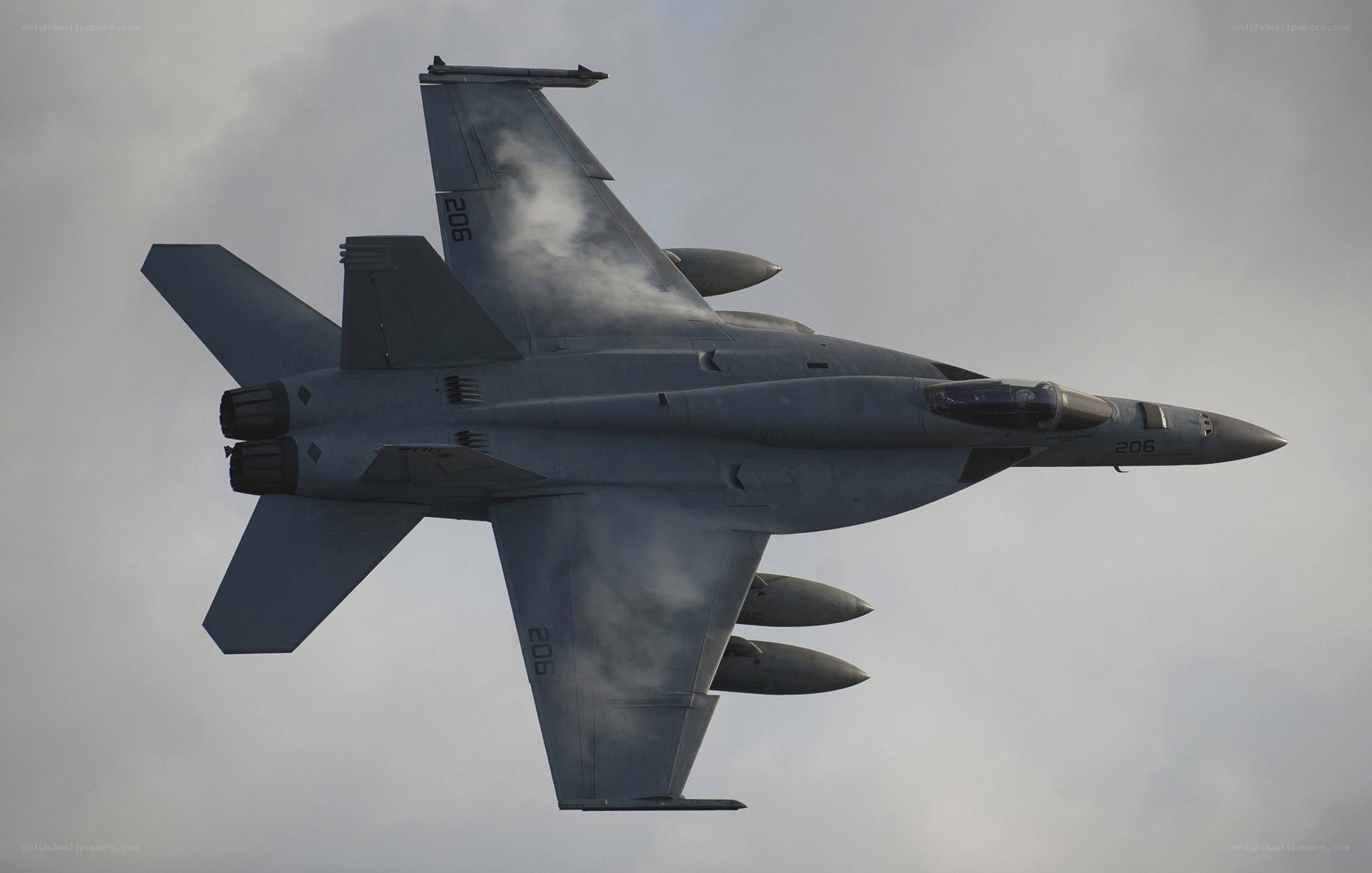 F-18 Hornet in flight