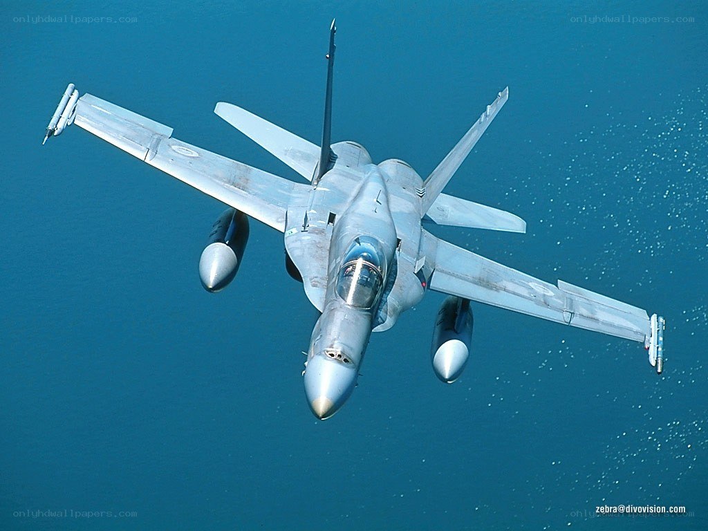 F-18 Hornet in flight