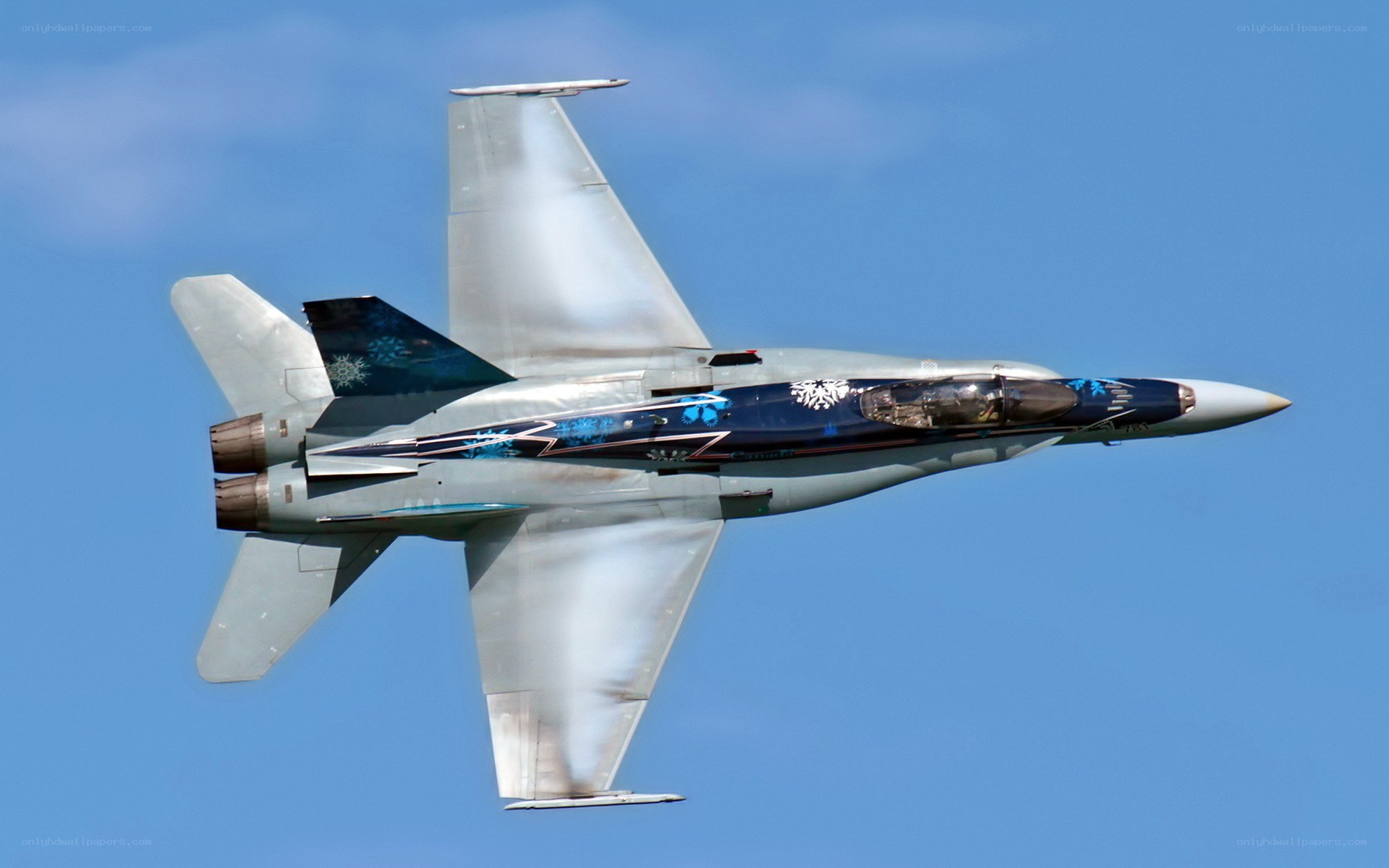 F-18 Hornet in flight