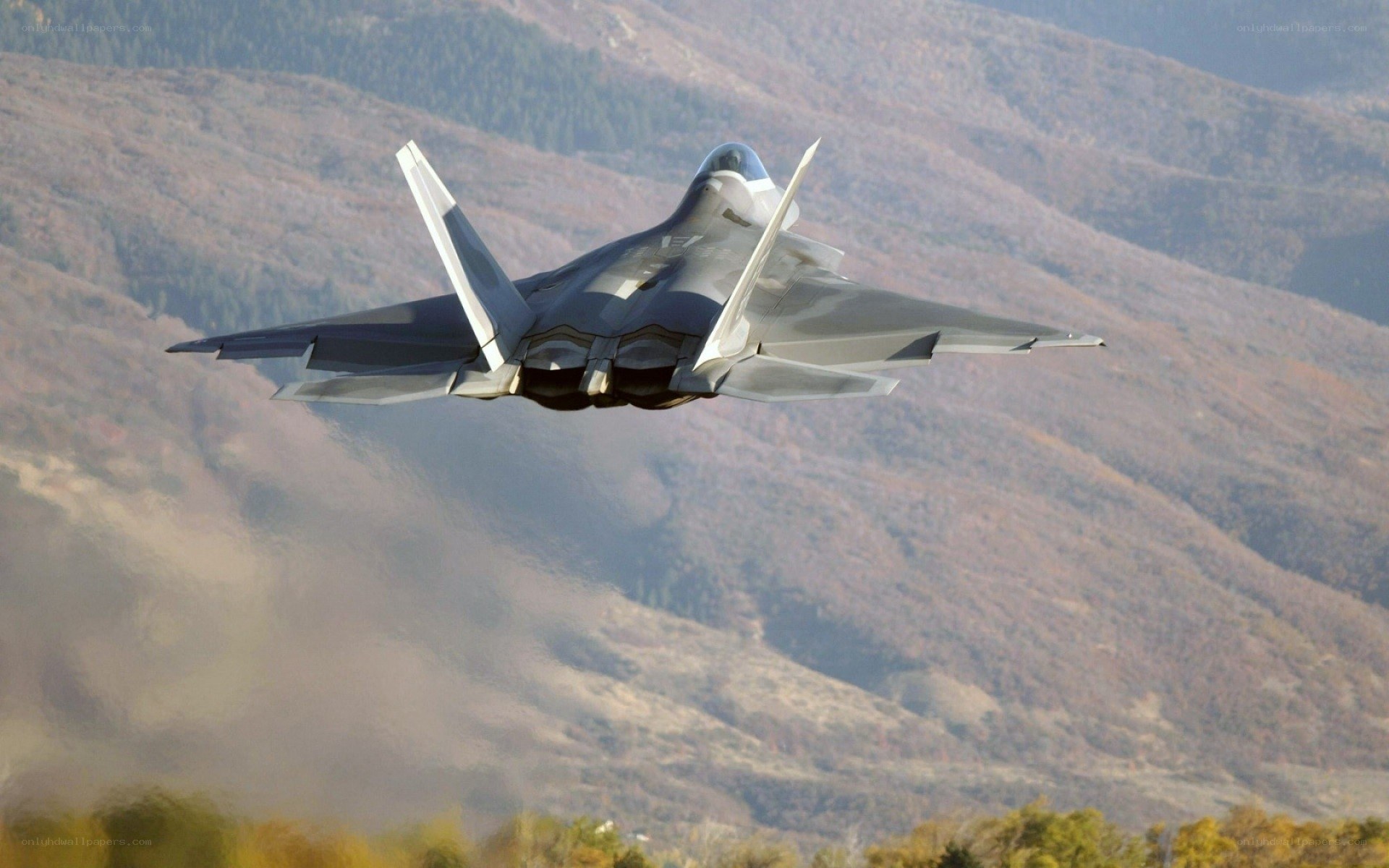 F-22 Raptor in flight