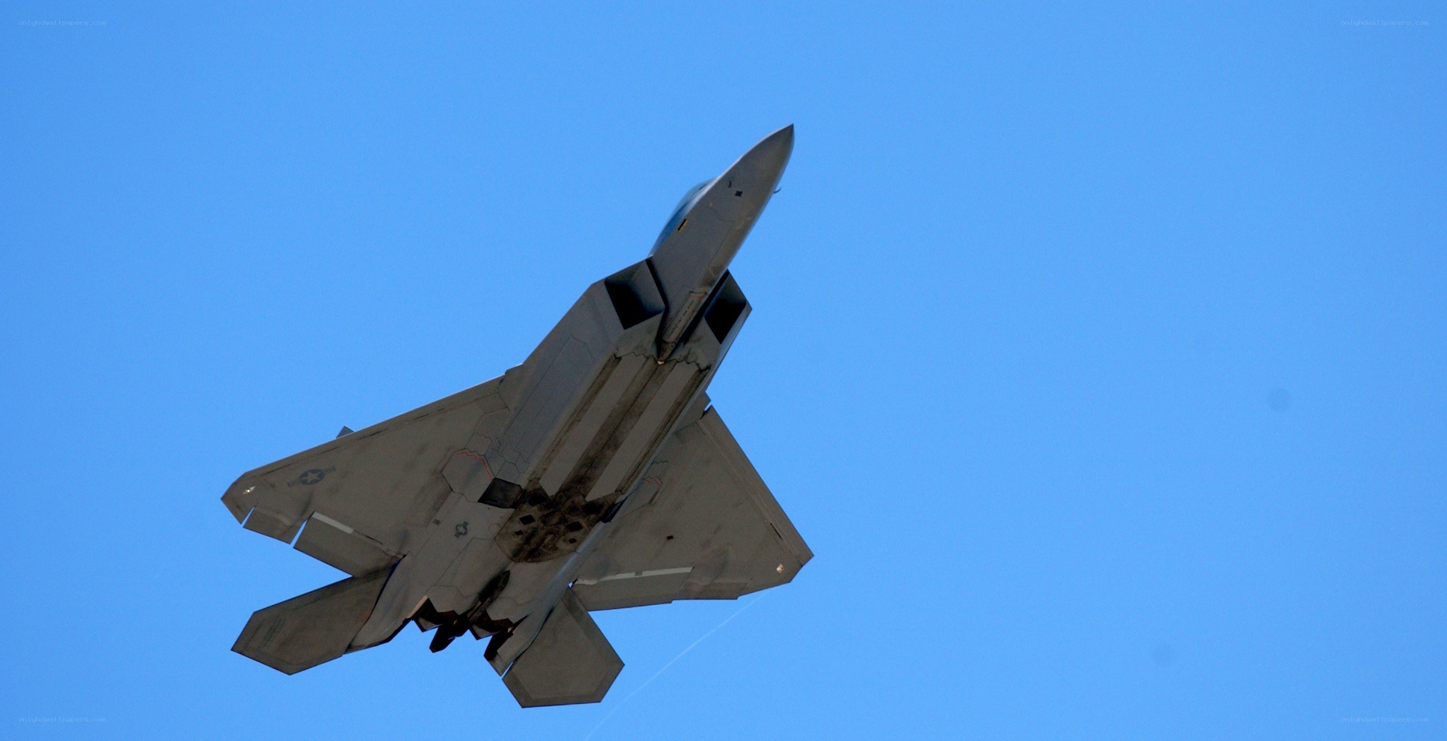 F-22 Raptor in flight