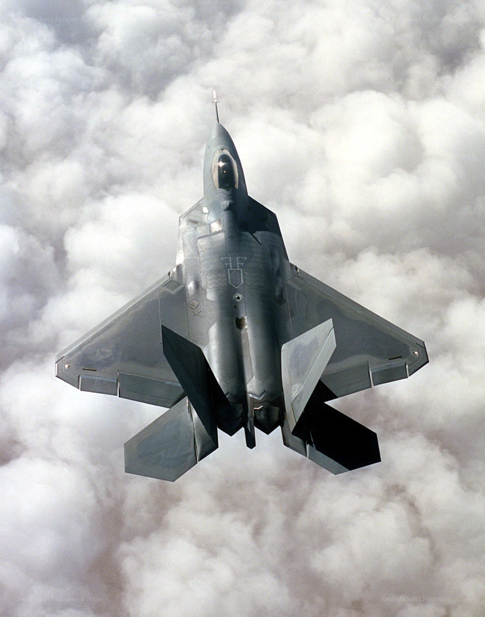 F-22 Raptor in flight