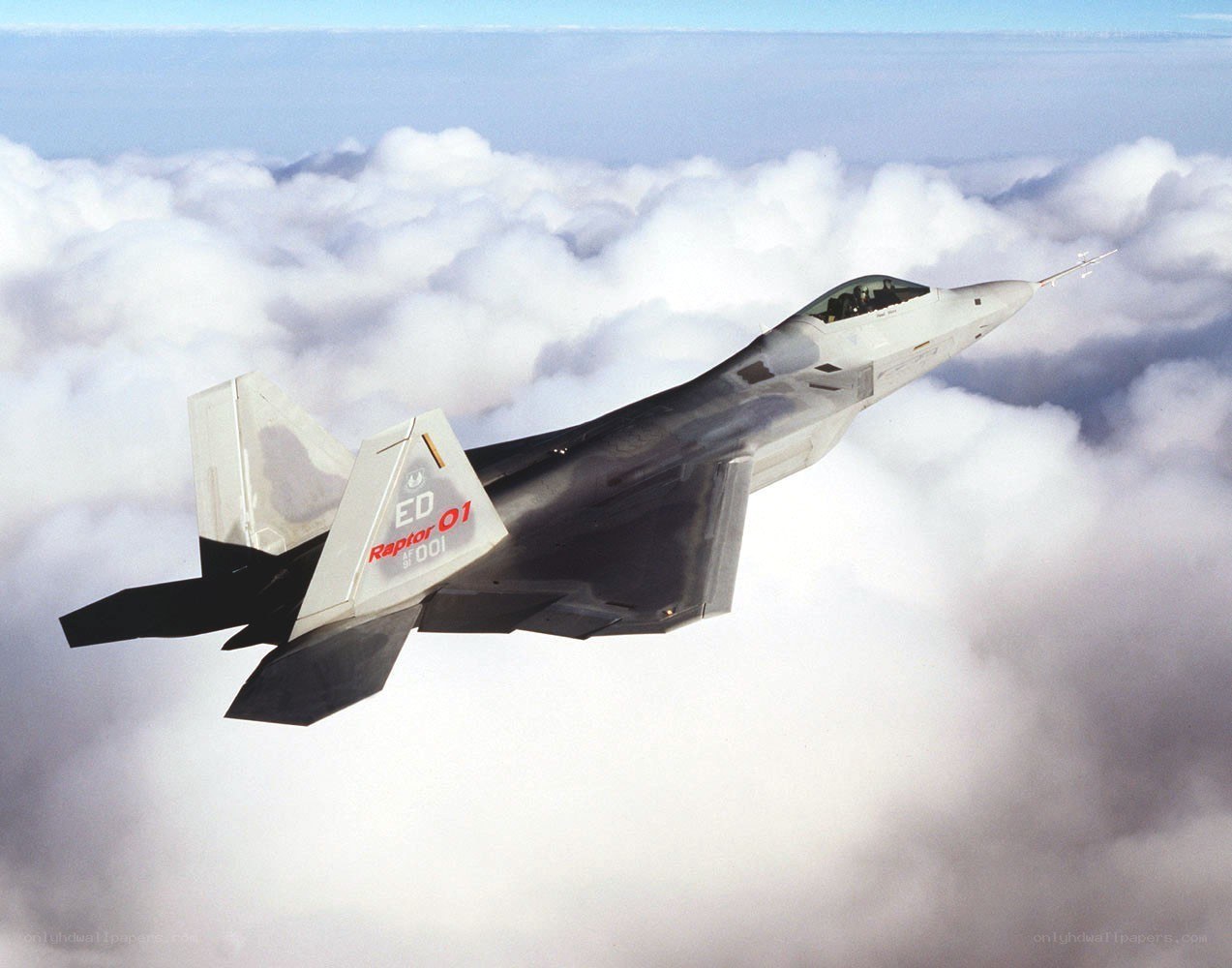 F-22 Raptor in flight