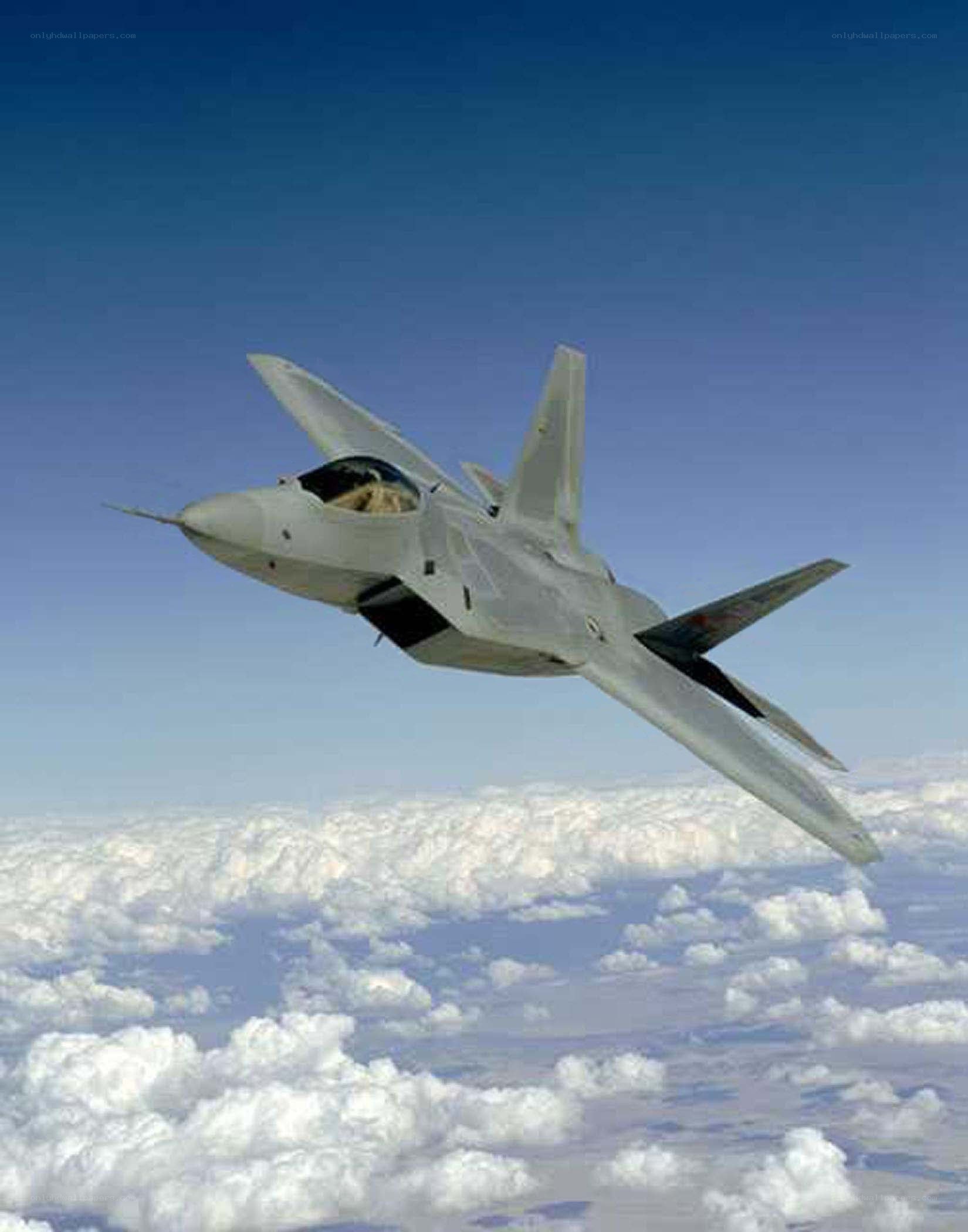 F-22 Raptor in flight