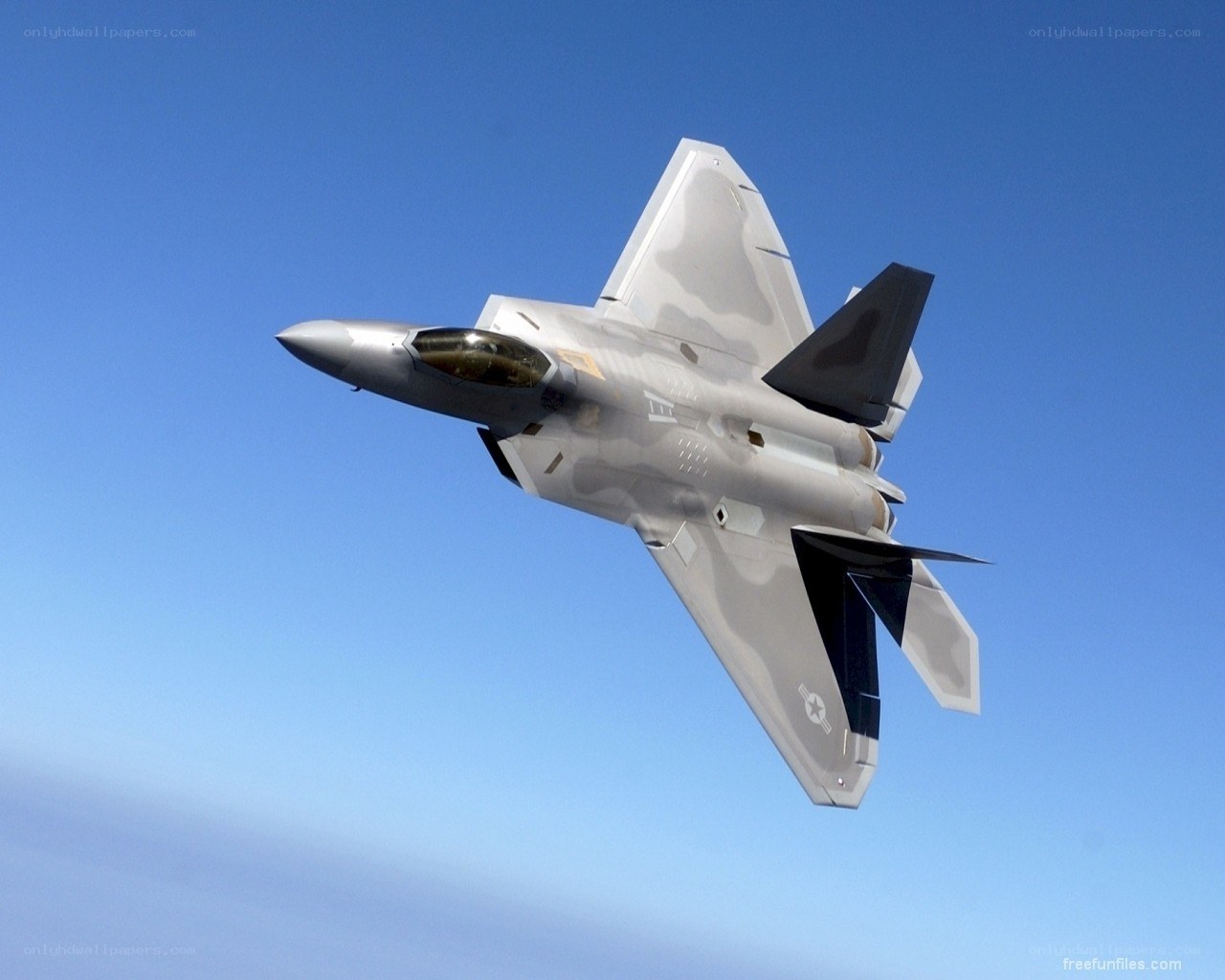 F-22 Raptor in flight