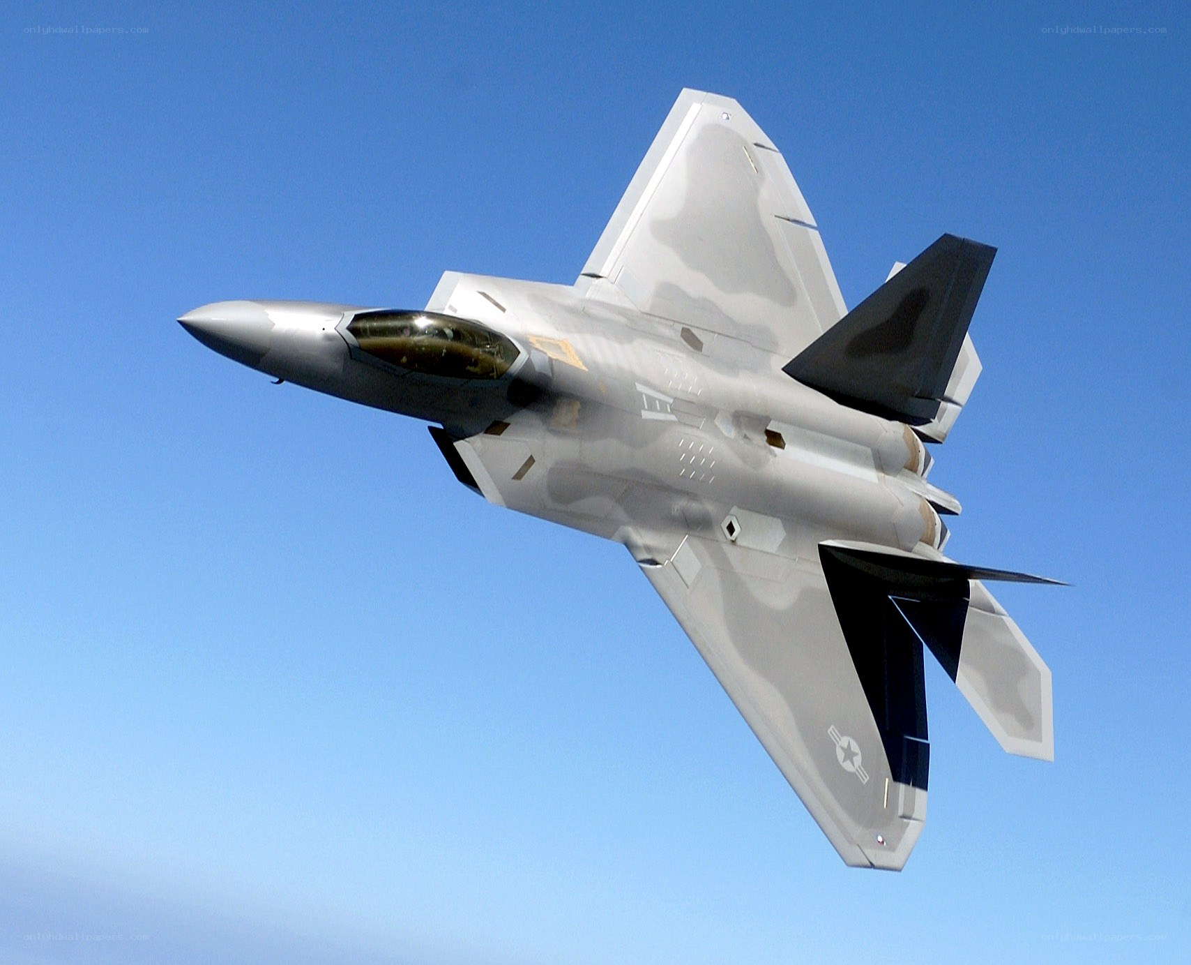F-22 Raptor in flight