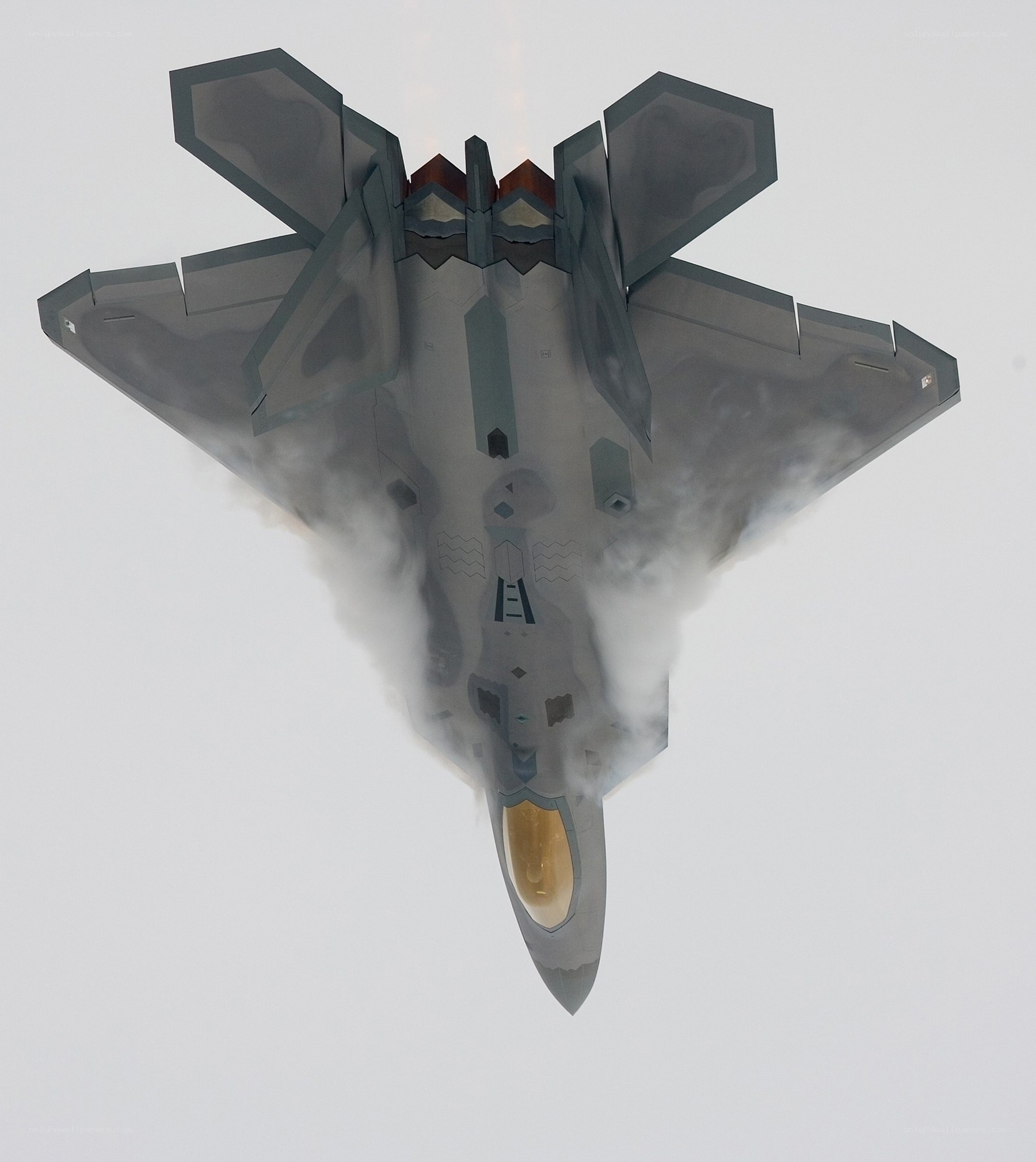 F-22 Raptor in flight