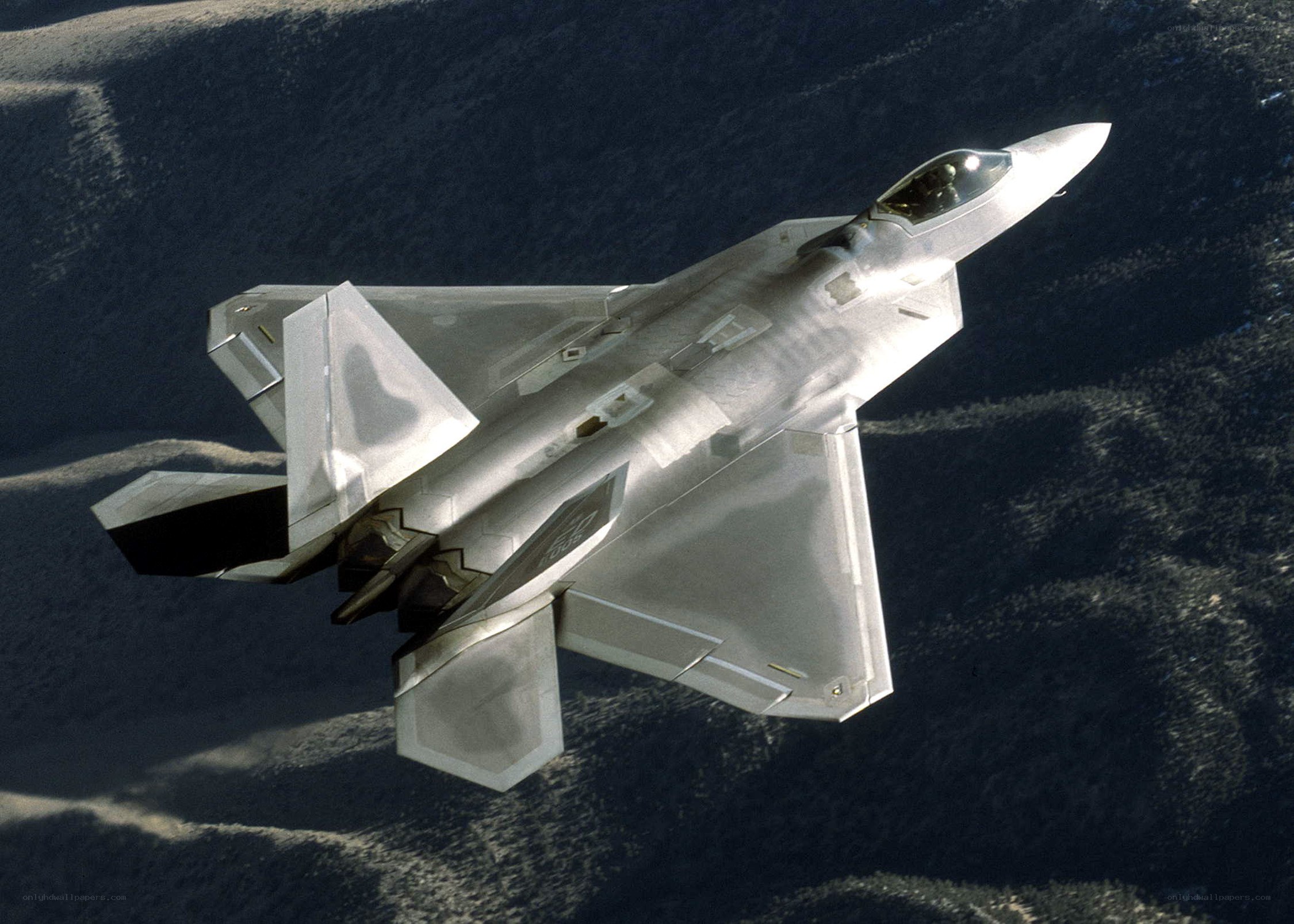 F-22 Raptor in flight