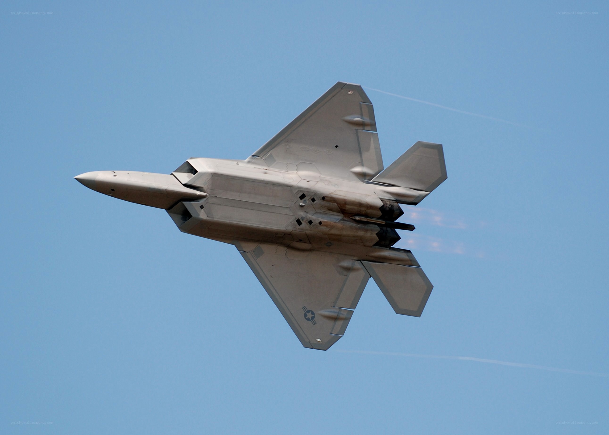 F-22 Raptor in flight