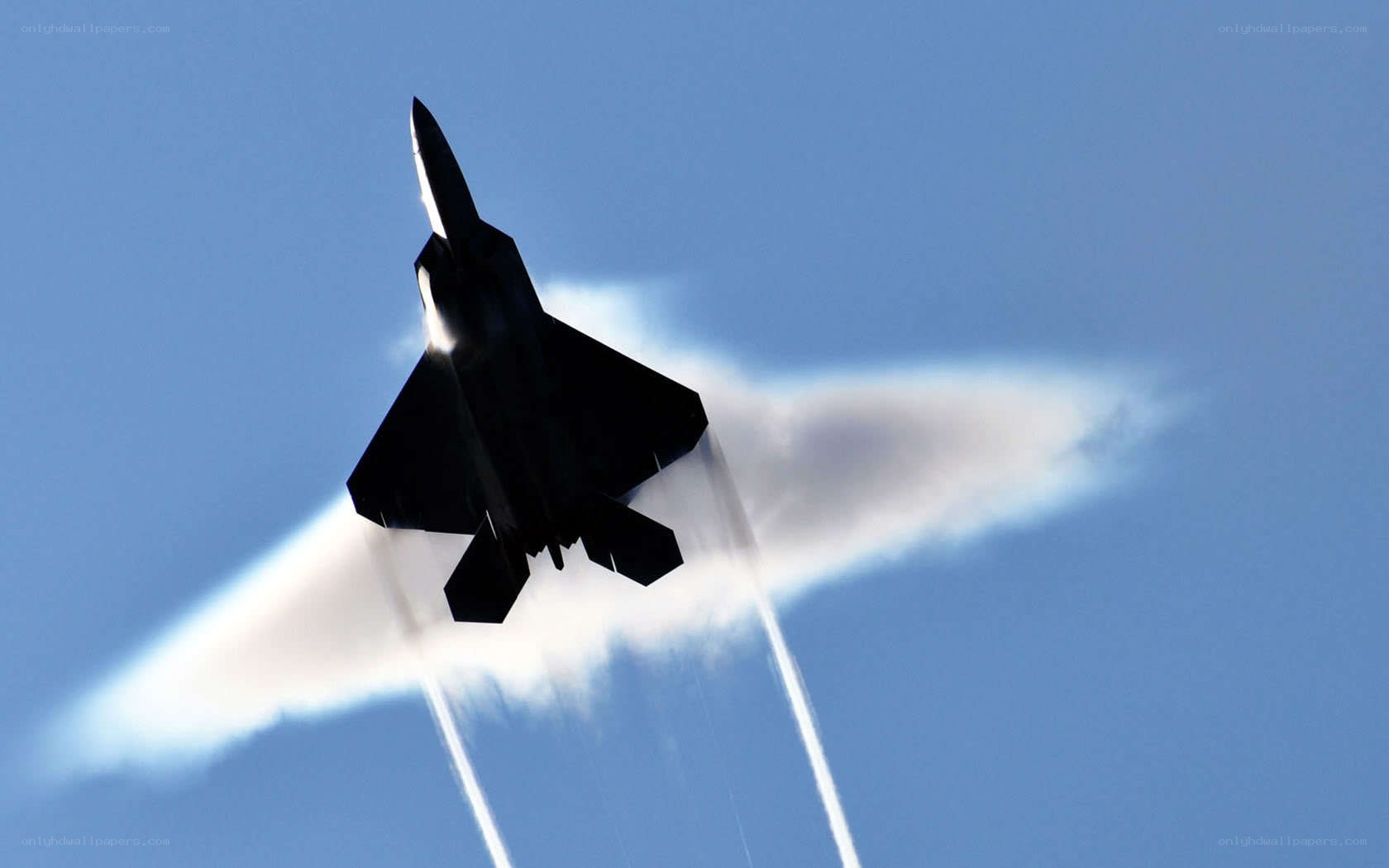 F-22 Raptor in flight