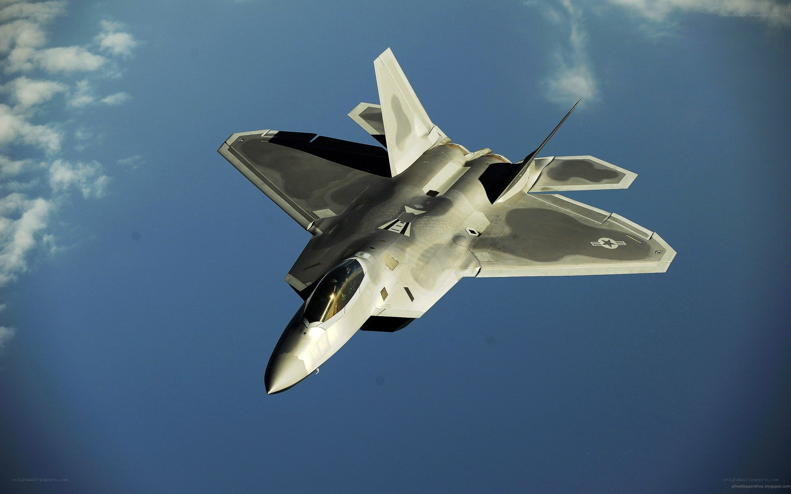 F-22 Raptor in flight