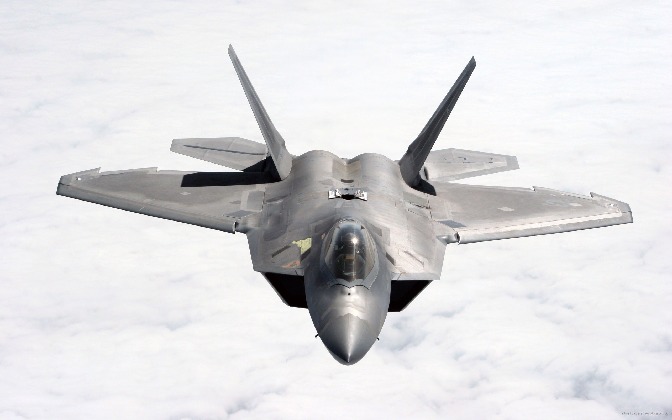 F-22 Raptor in flight