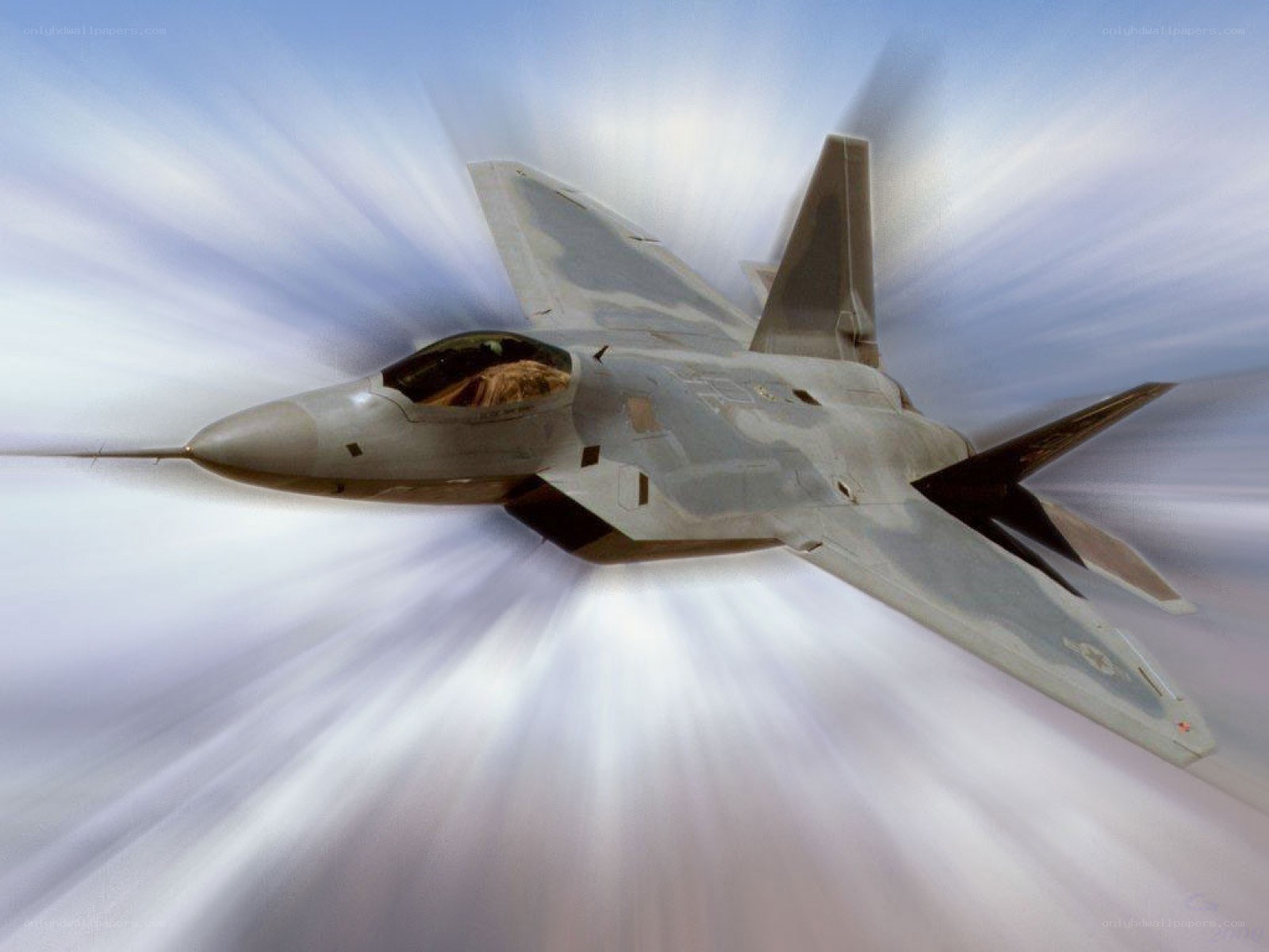 F-22 Raptor in flight