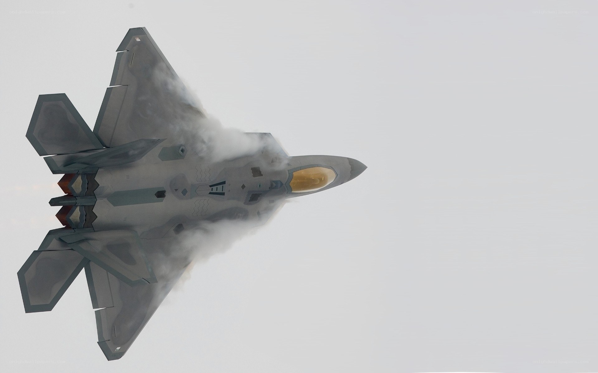 F-22 Raptor in flight