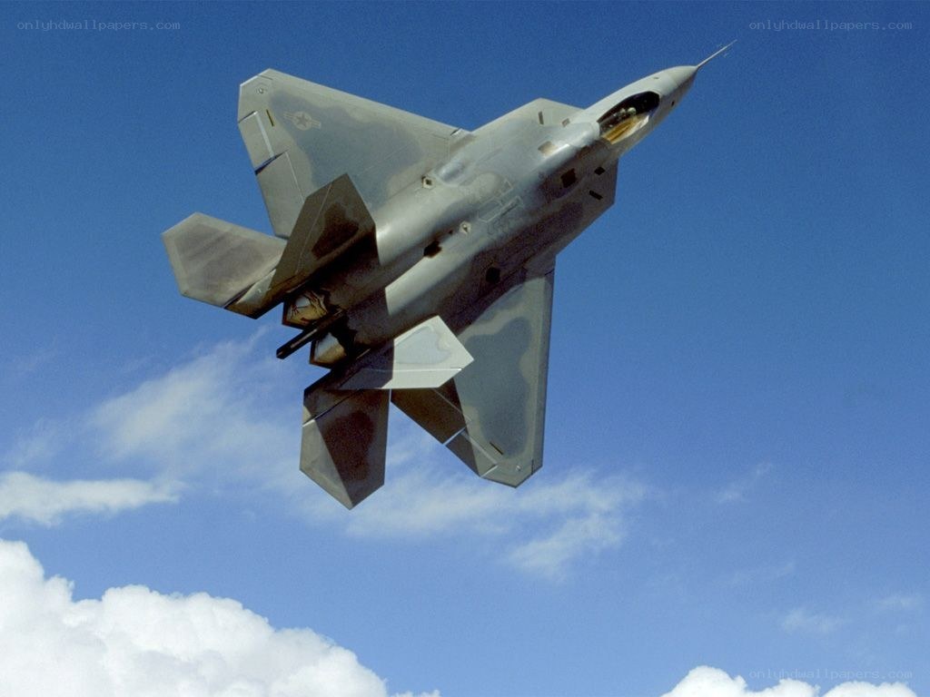 F-22 Raptor in flight