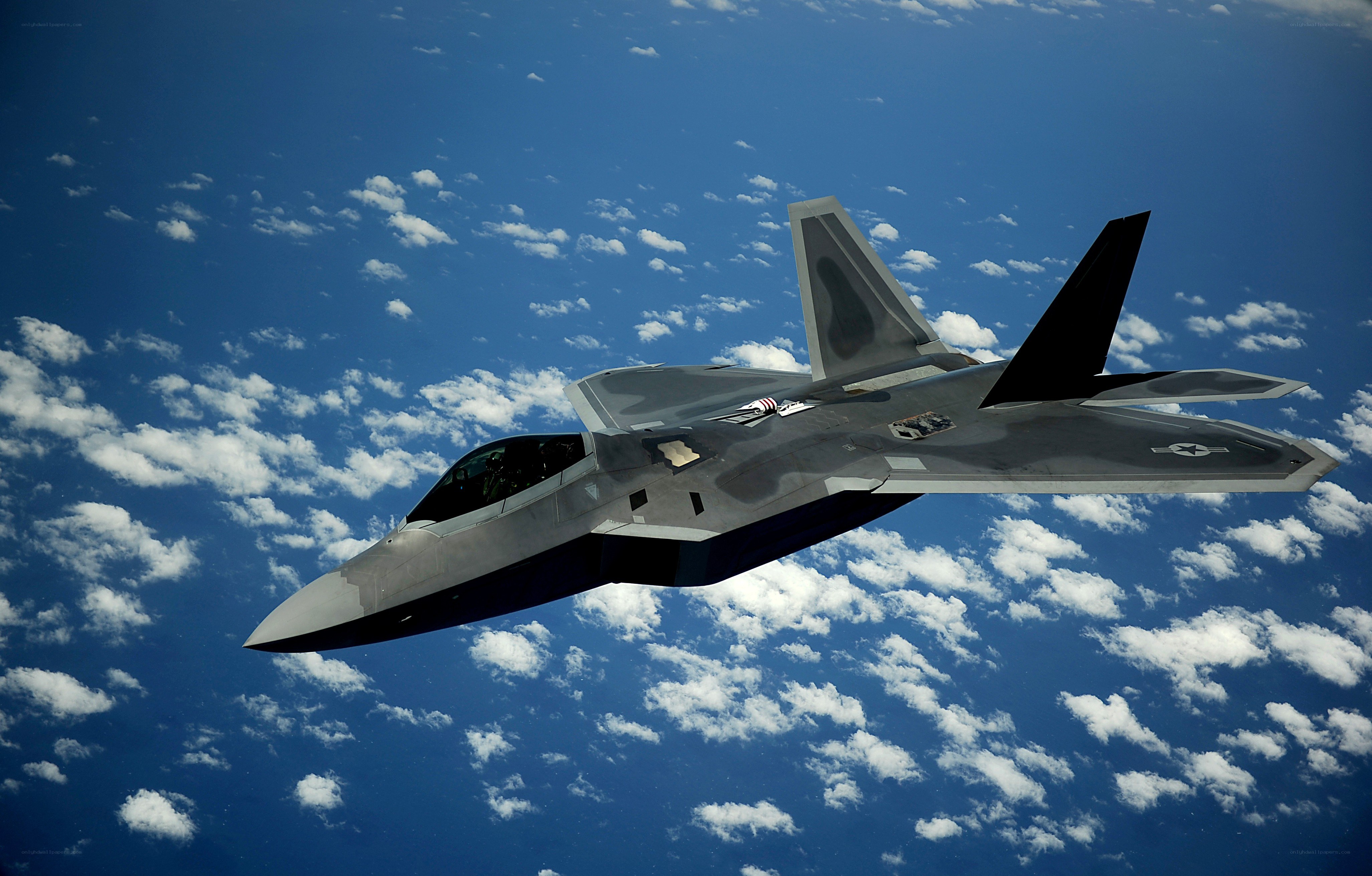 F-22 Raptor in flight