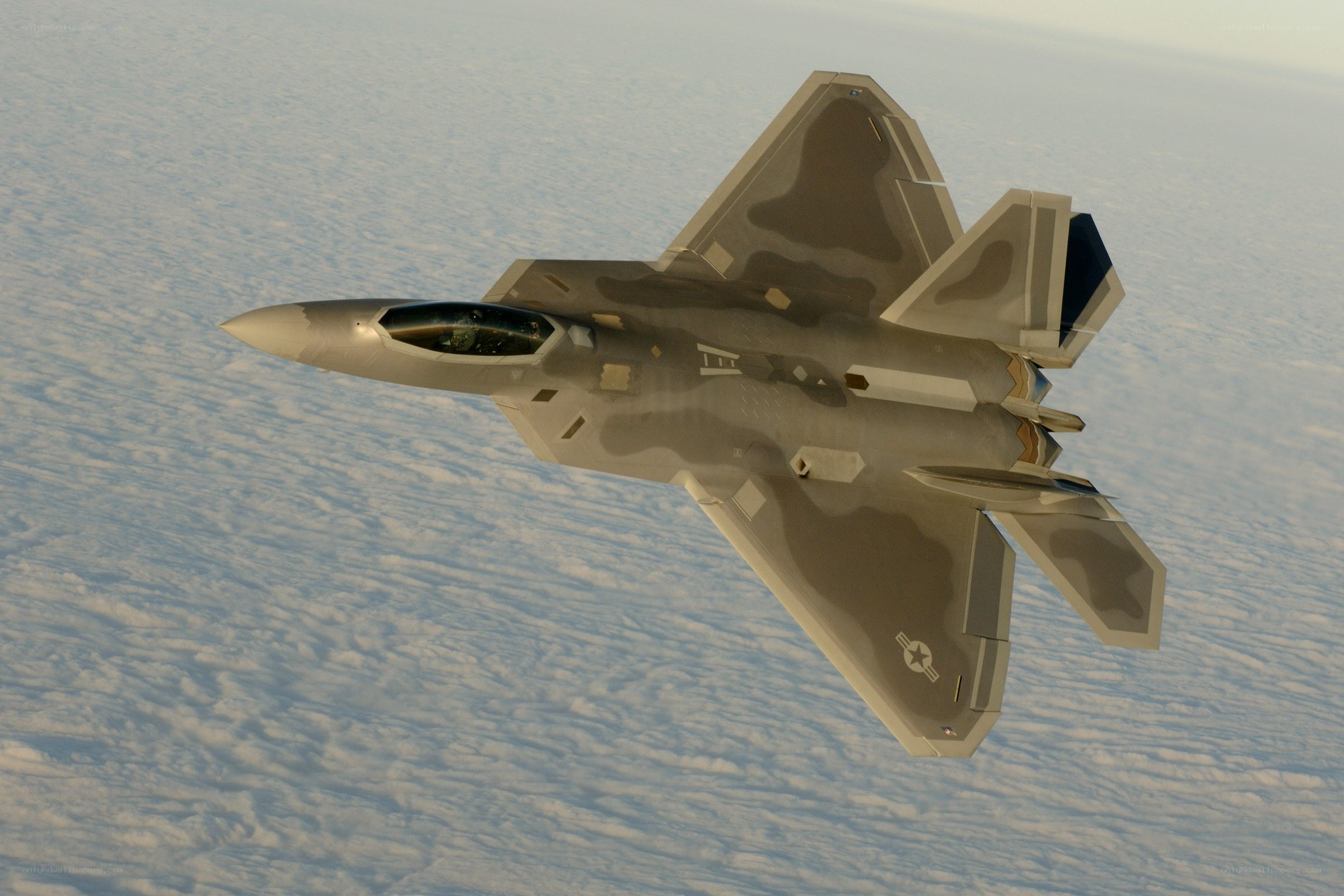 F-22 Raptor in flight