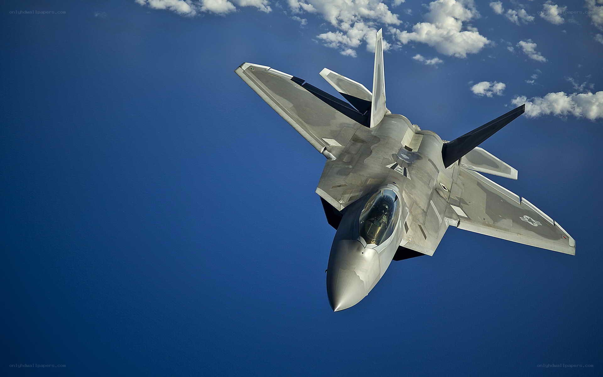 F-22 Raptor in flight