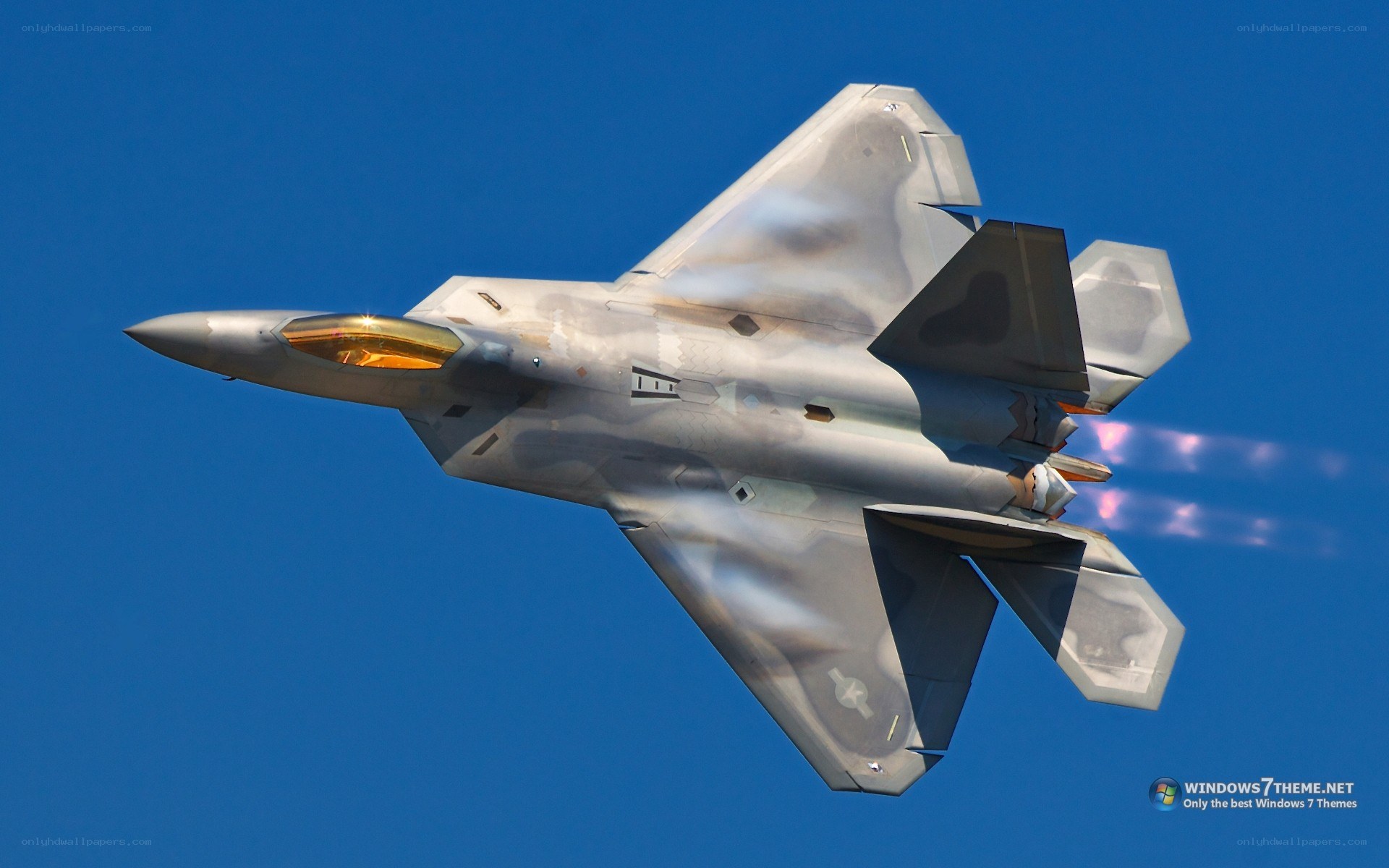 F-22 Raptor in flight