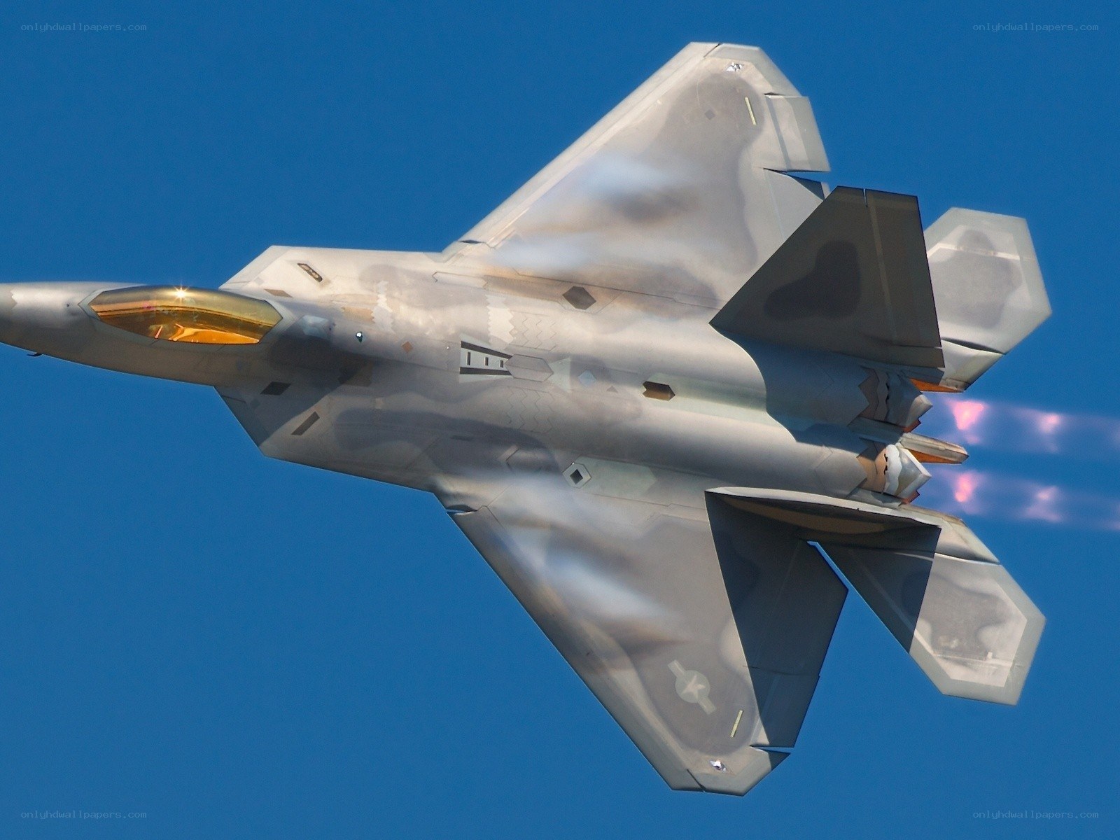 F-22 Raptor in flight