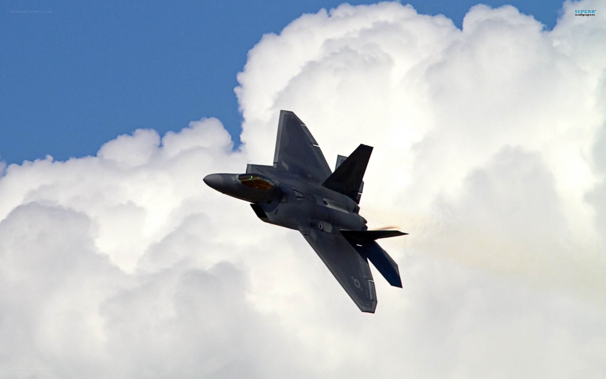 F-22 Raptor in flight