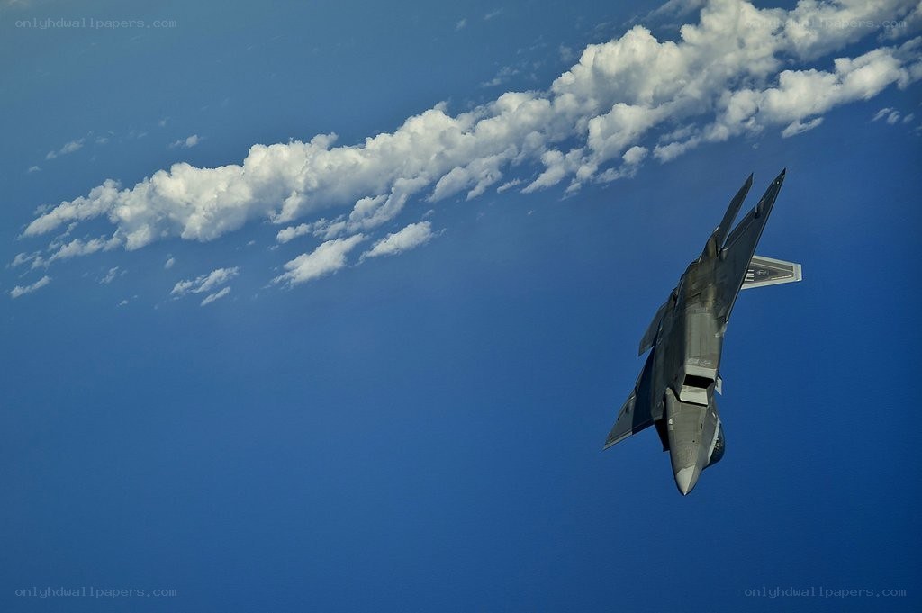F-22 Raptor in flight