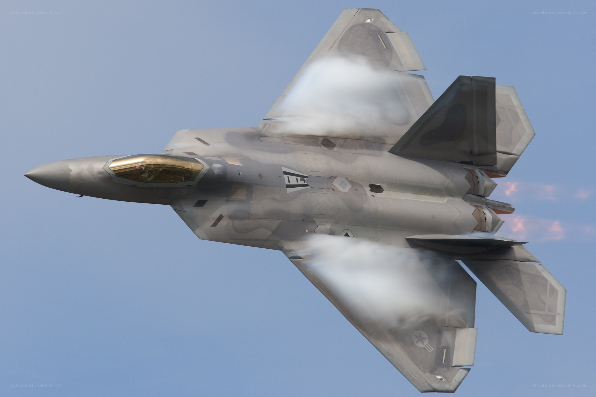 F-22 Raptor in flight