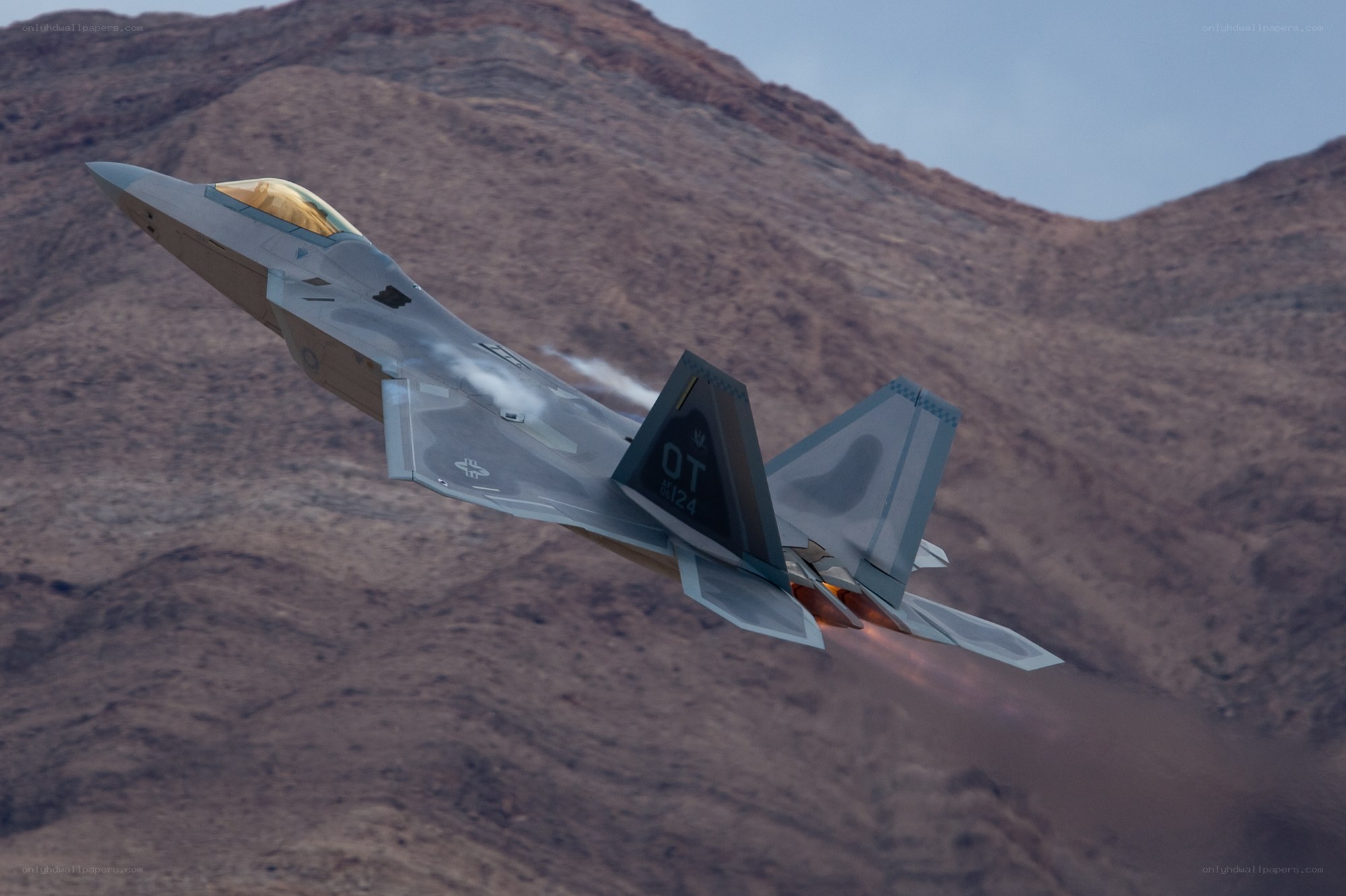 F-22 Raptor in flight