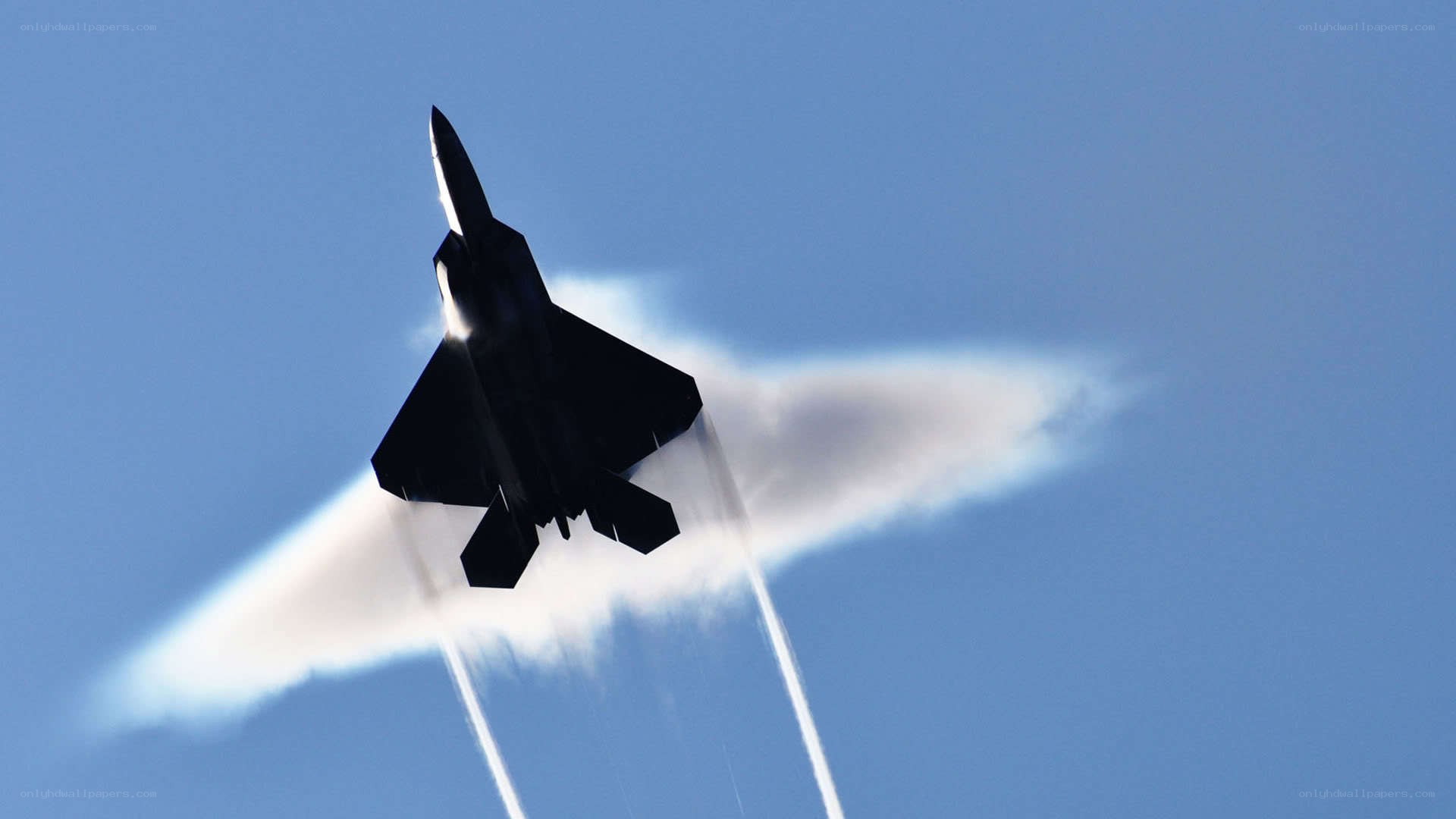 F-22 Raptor in flight