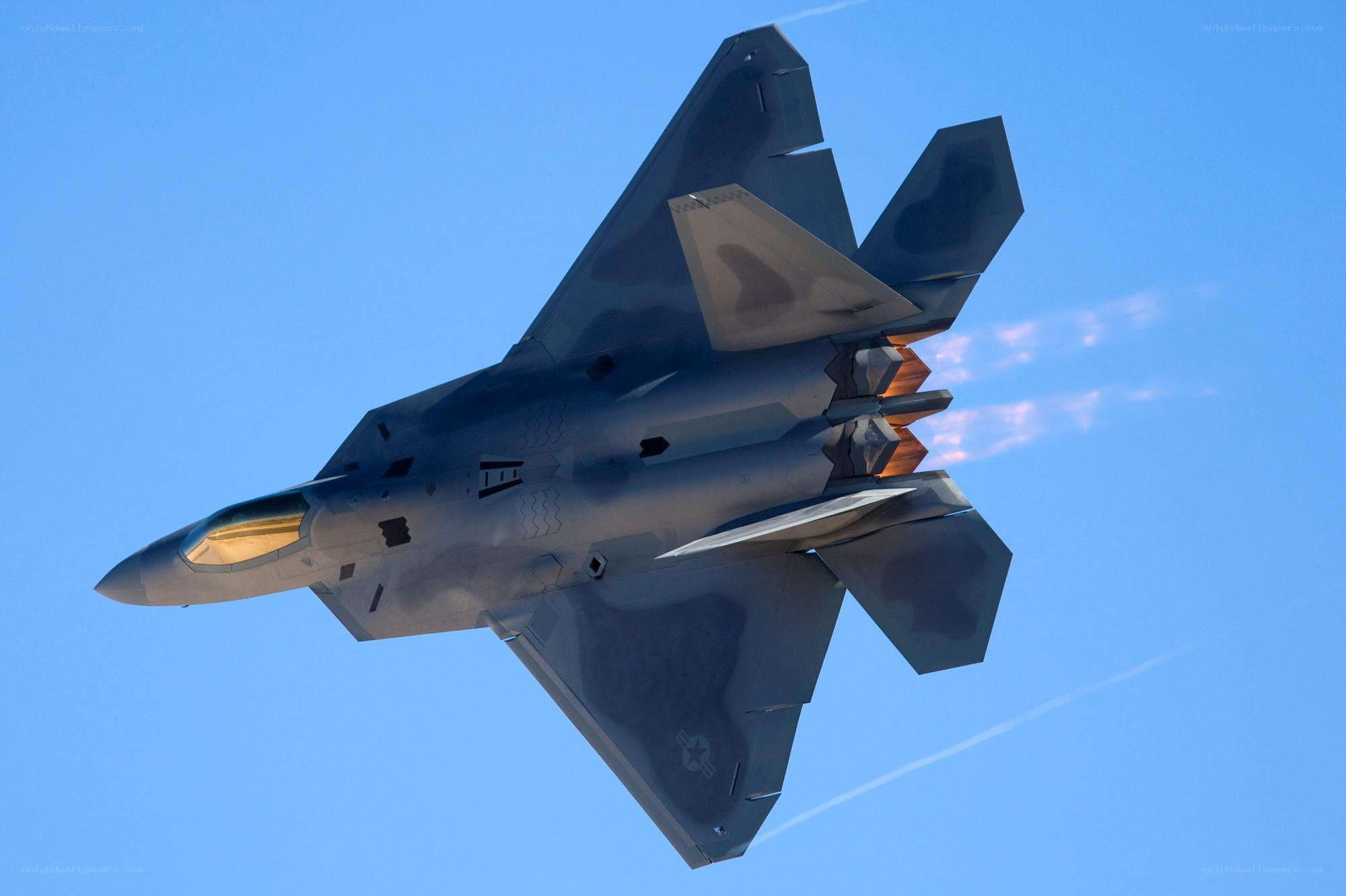 F-22 Raptor in flight