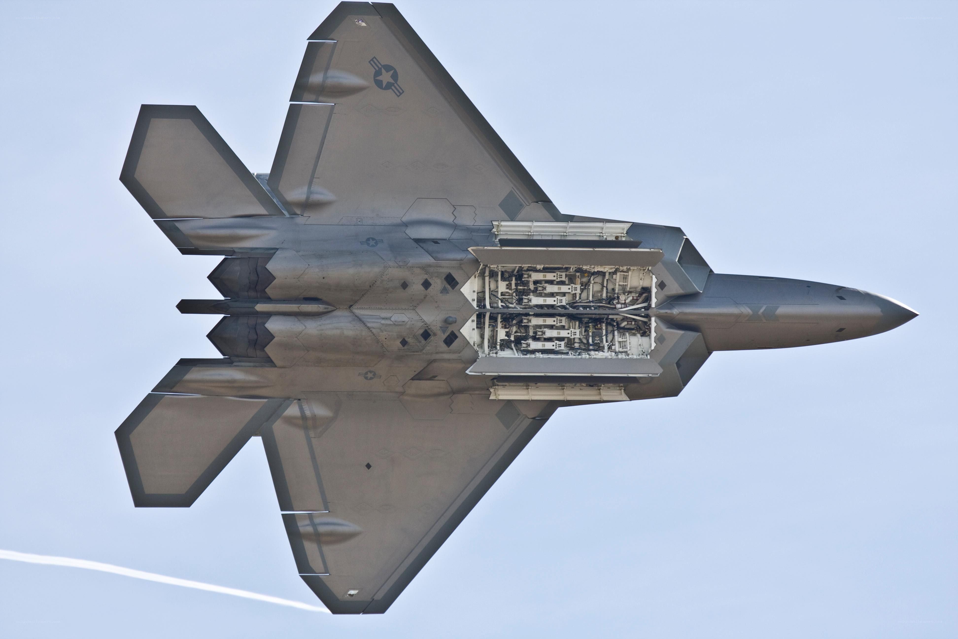 F-22 Raptor in flight