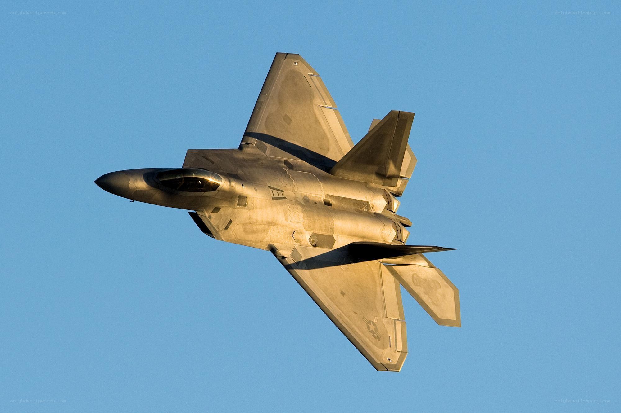 F-22 Raptor in flight