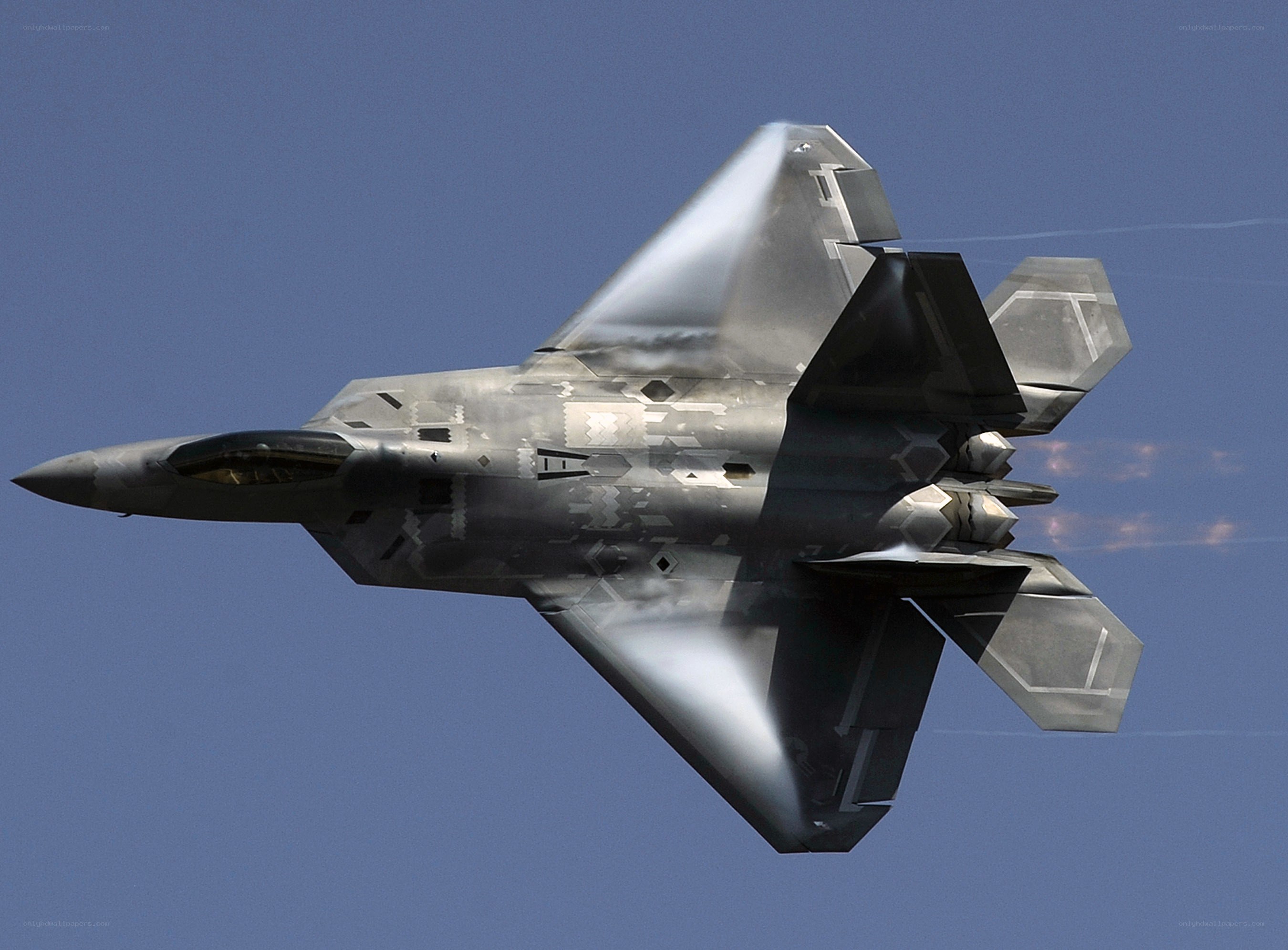 F-22 Raptor in flight