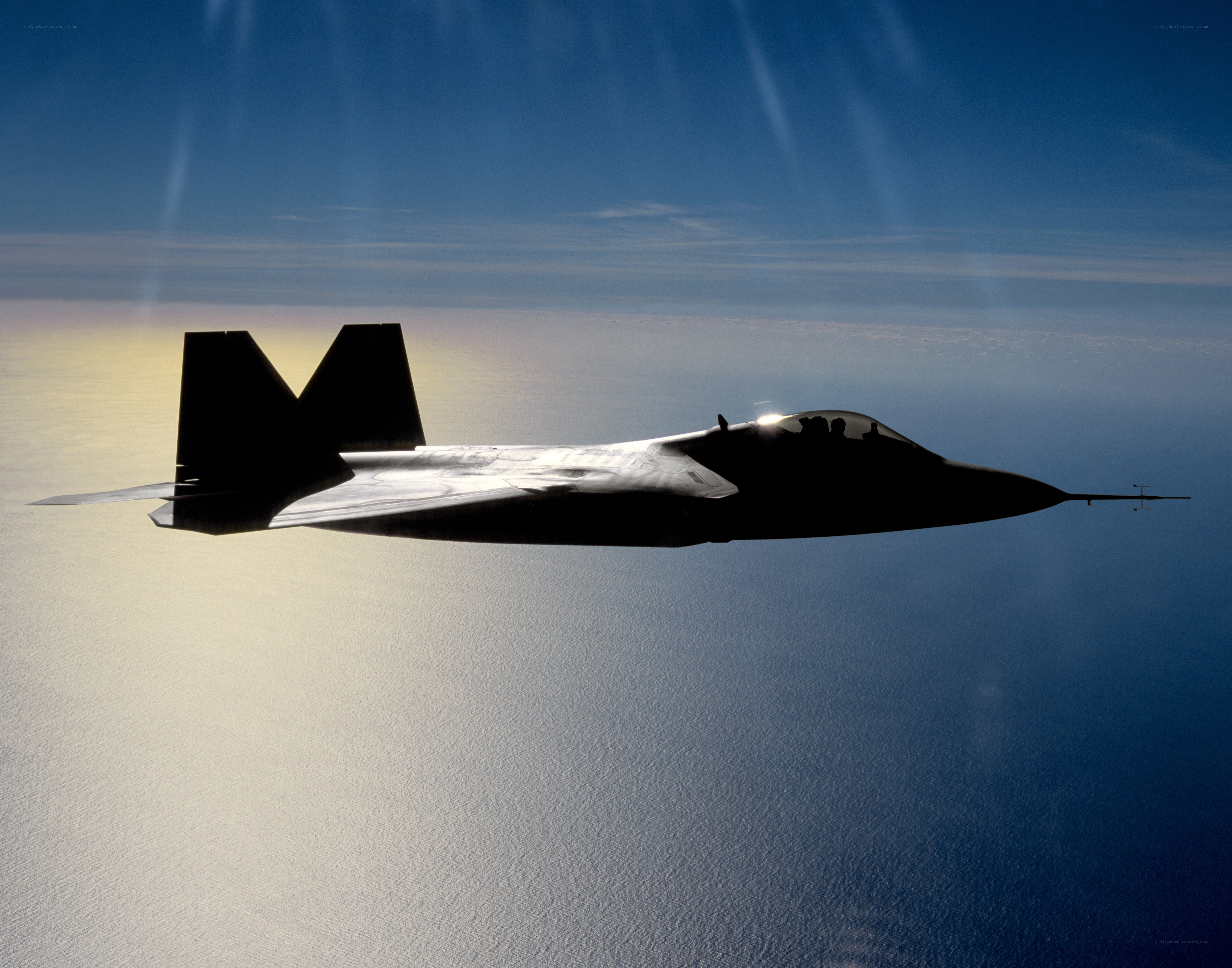 F-22 Raptor in flight