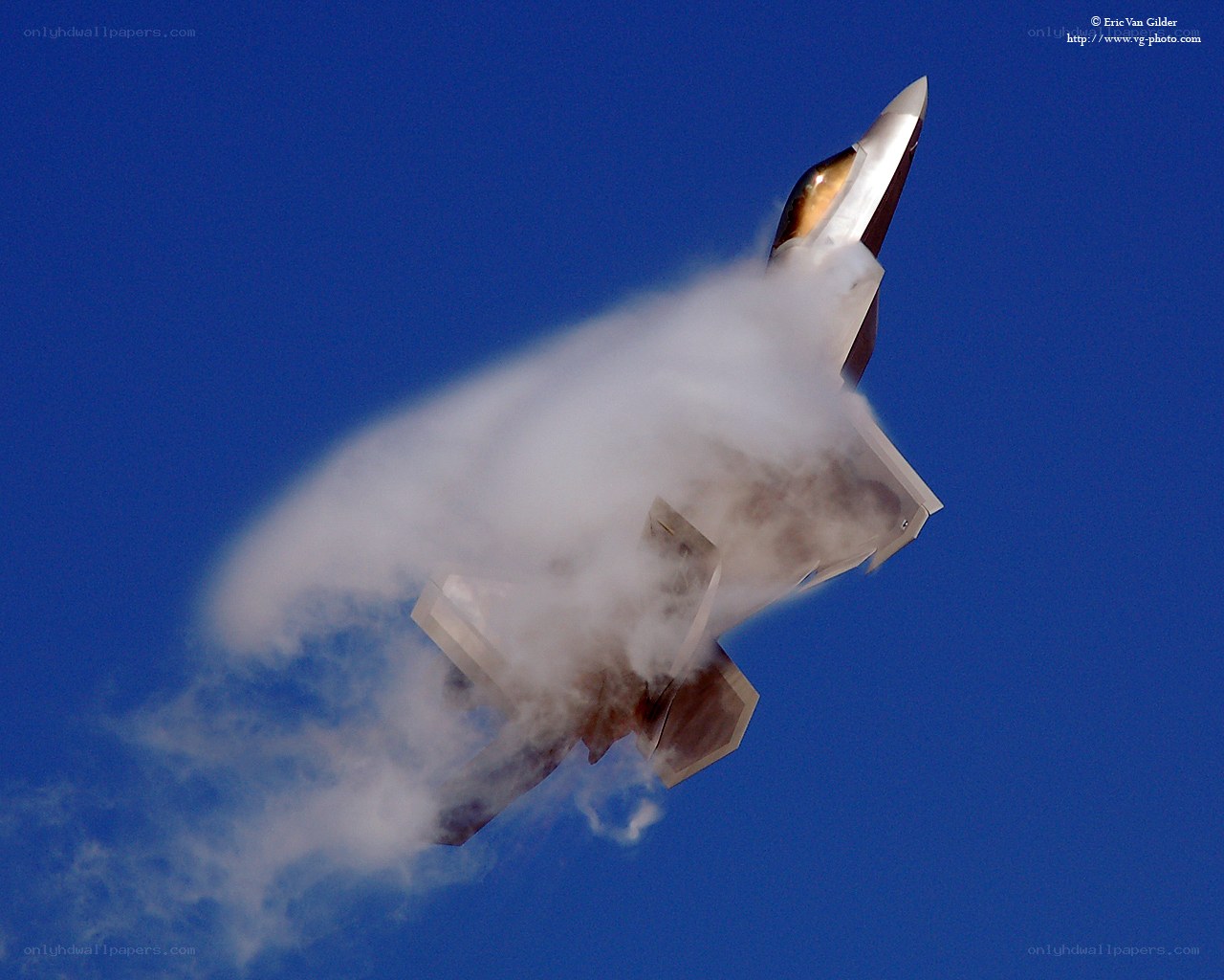 F-22 Raptor in flight