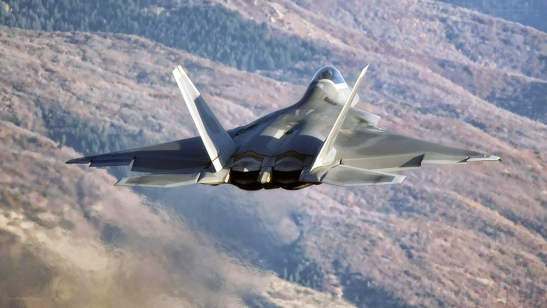 F-22 Raptor in flight